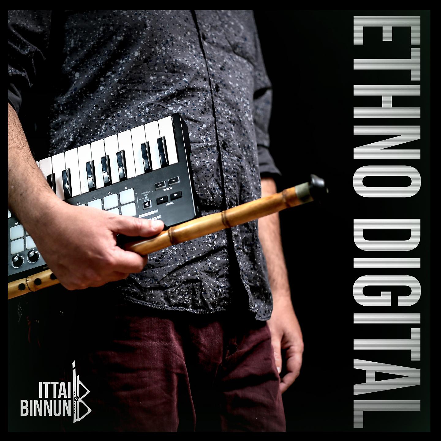 Постер альбома Ethno Digital
