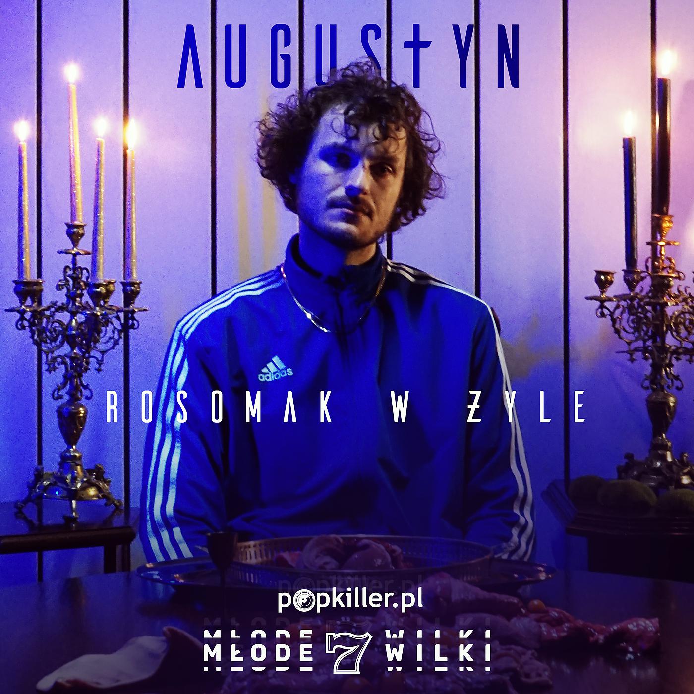 Постер альбома Rosomak W Żyle