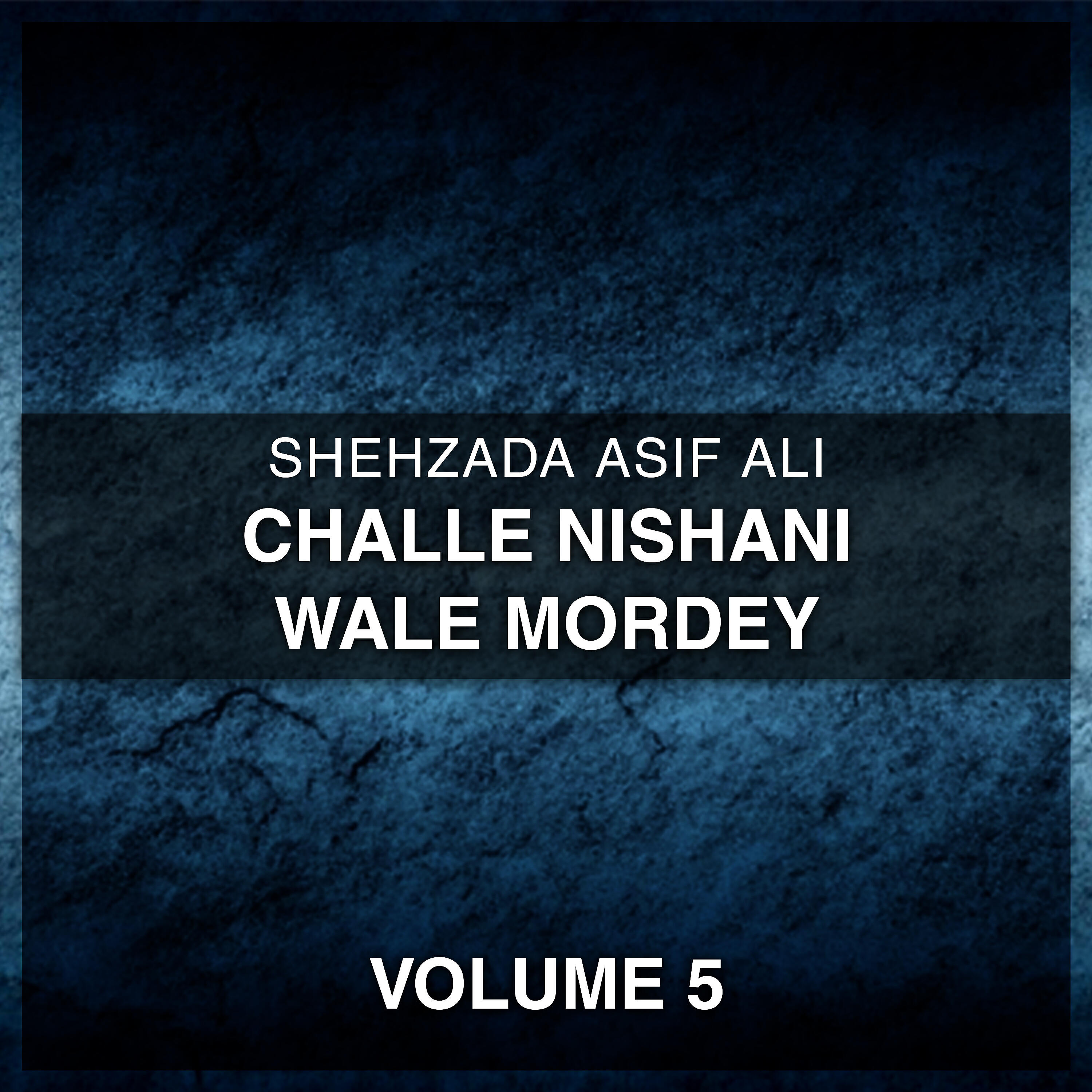 Shehzada Asif Ali - Russe Ta Hawey Russe
