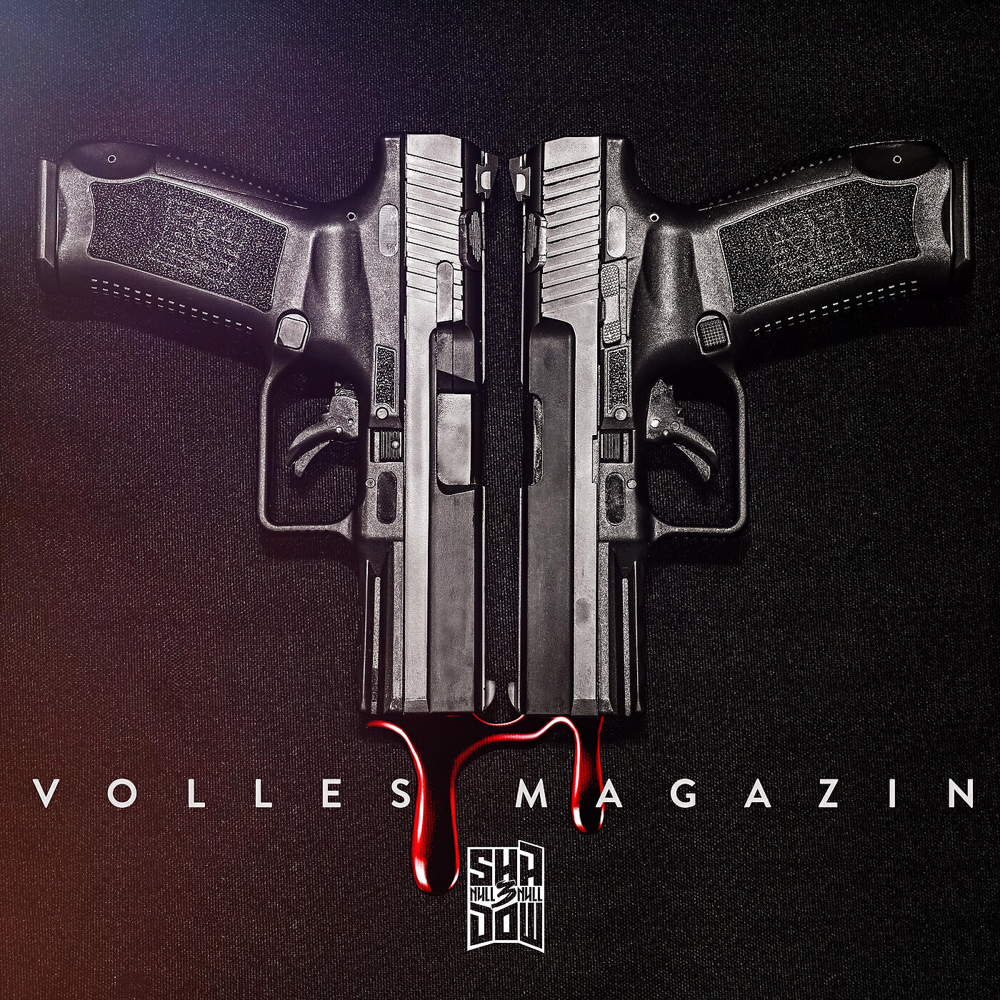 Shadow030 - Volles Magazin