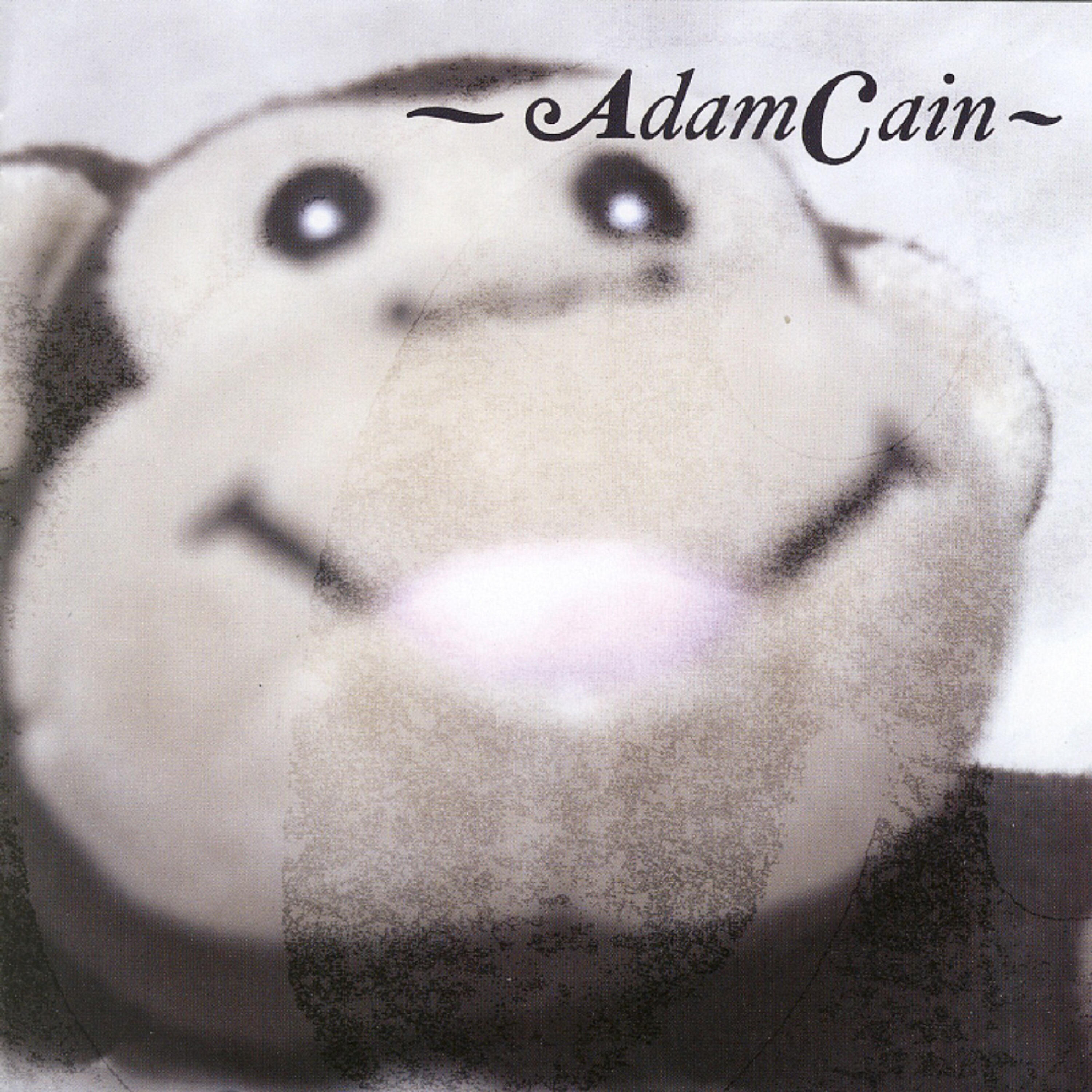 Adamcain - Light of Day