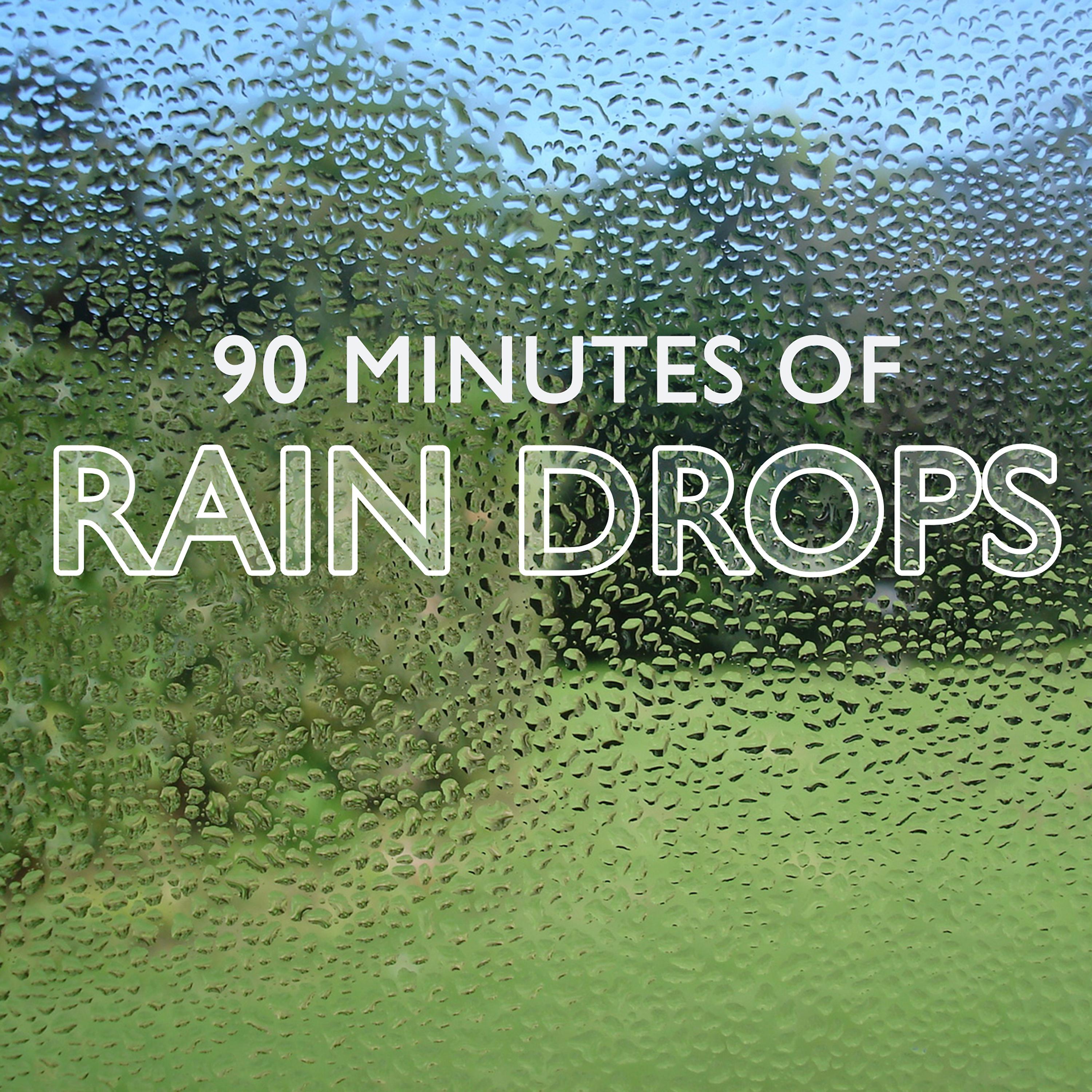Постер альбома 90 Minutes of Rain Drops