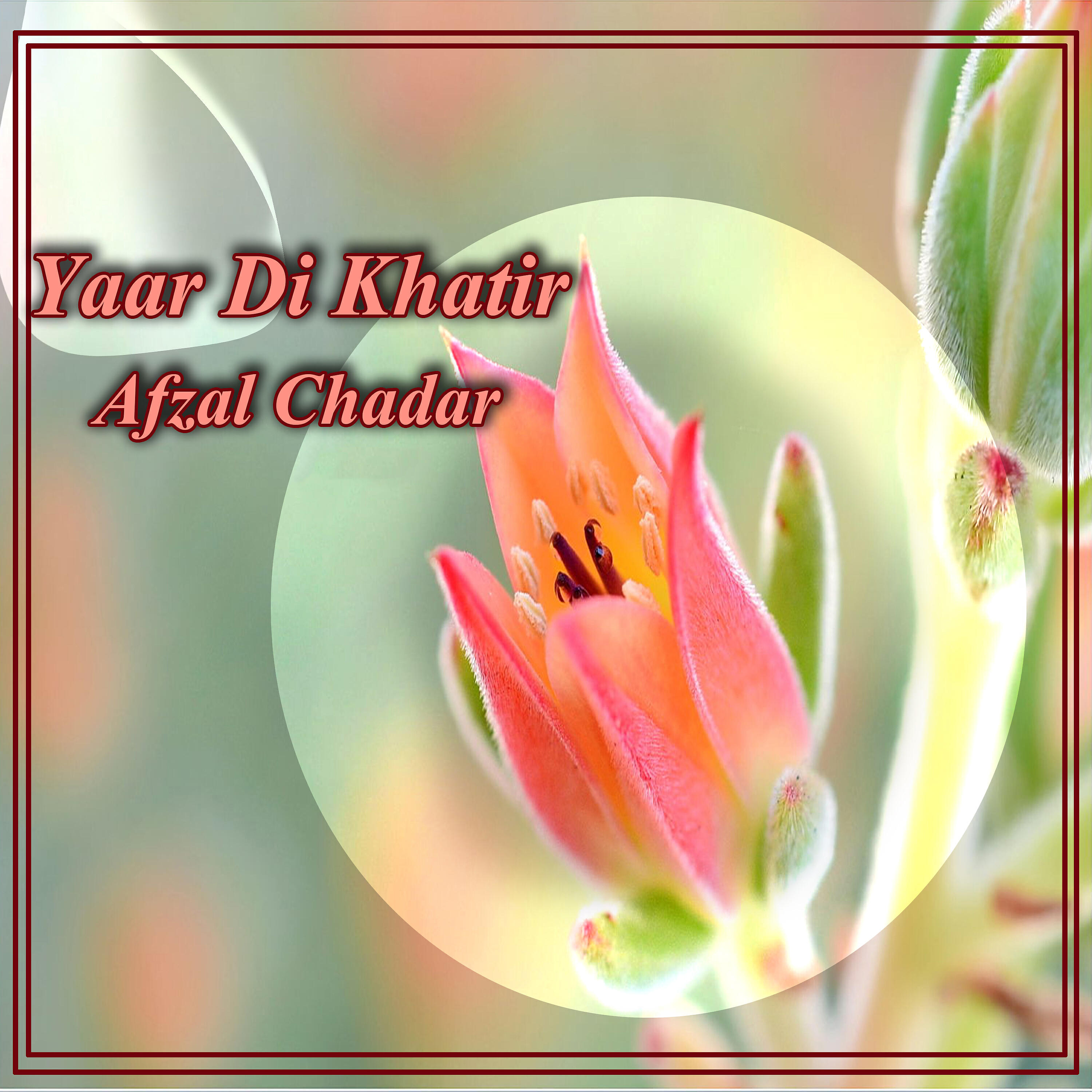Afzal Chadar - Lambi Baan