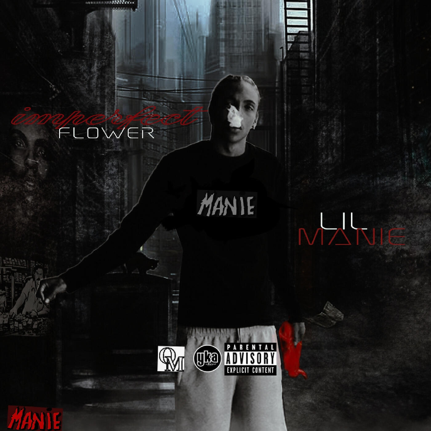 Lil Manie - Imperfect Flower