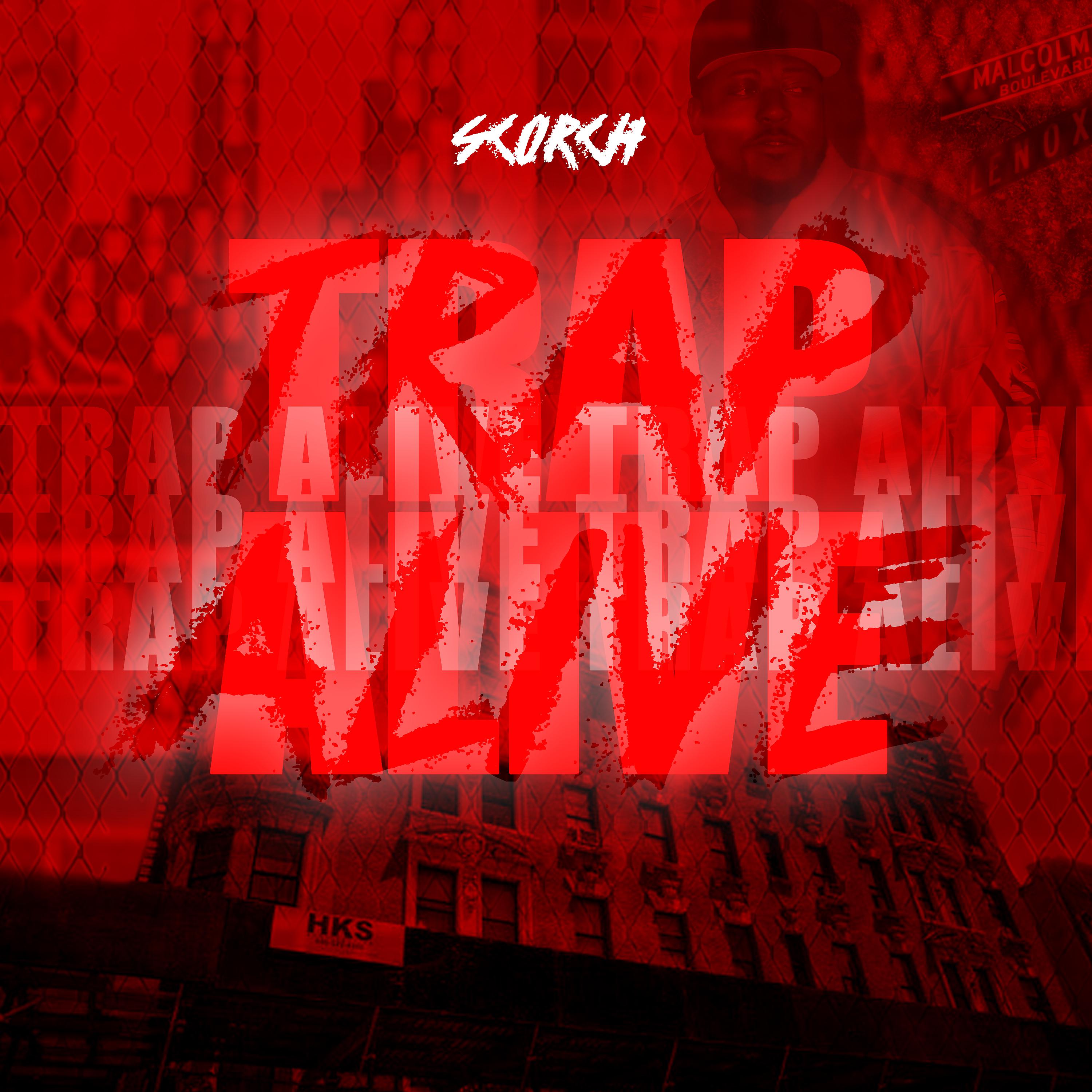 Постер альбома Trap Alive