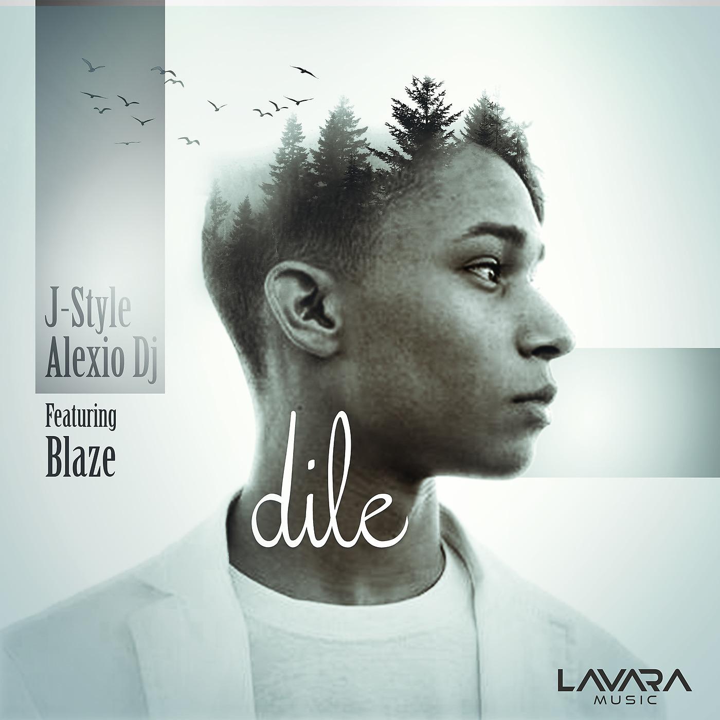 Постер альбома Dile