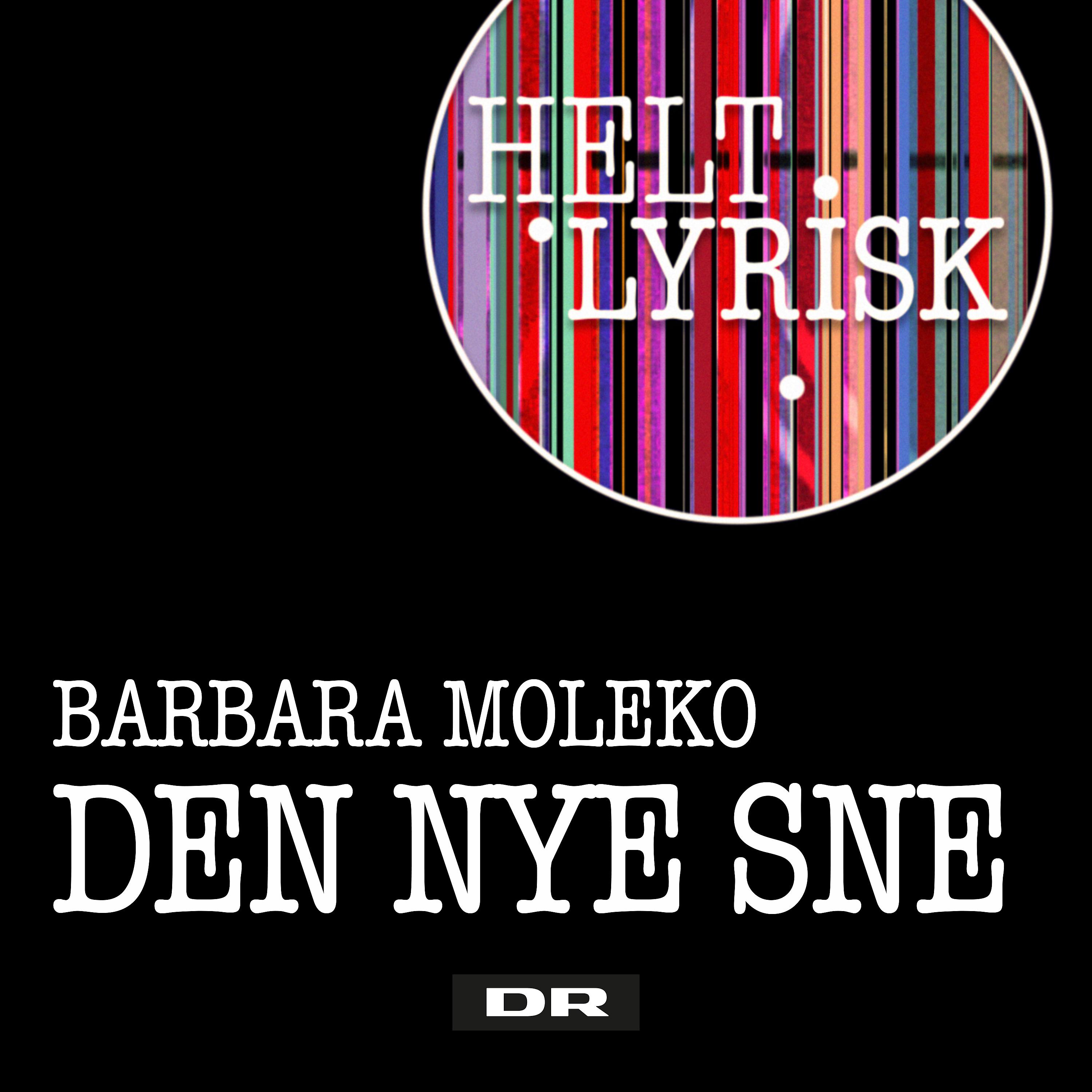 Постер альбома Den Nye Sne (Fra 'Helt Lyrisk')