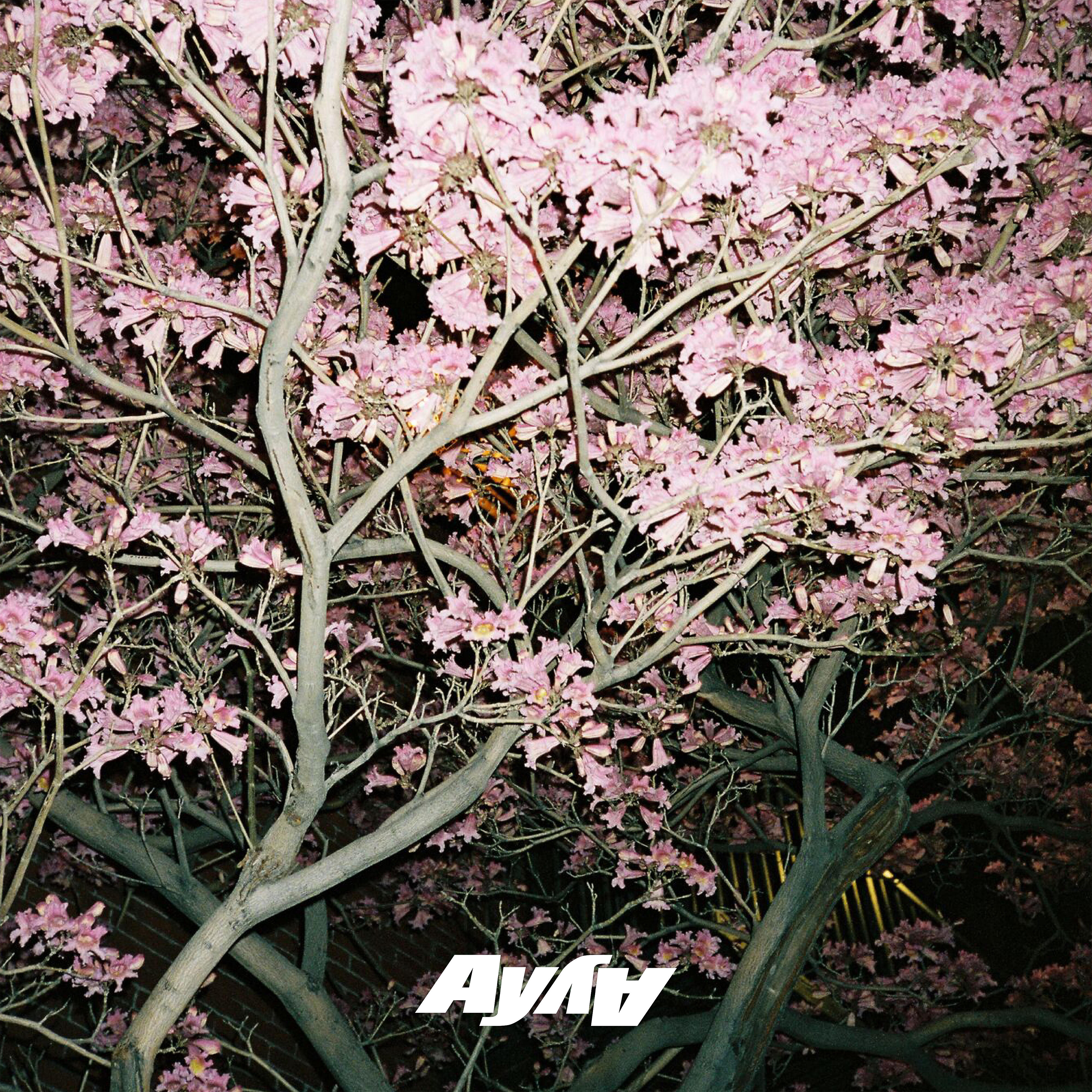 AY AY - what you need - Marc Benjamin Remix (feat. QNTN)