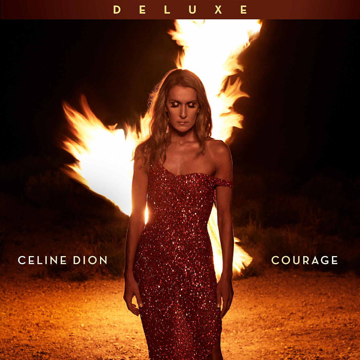 Celine Dion - Courage