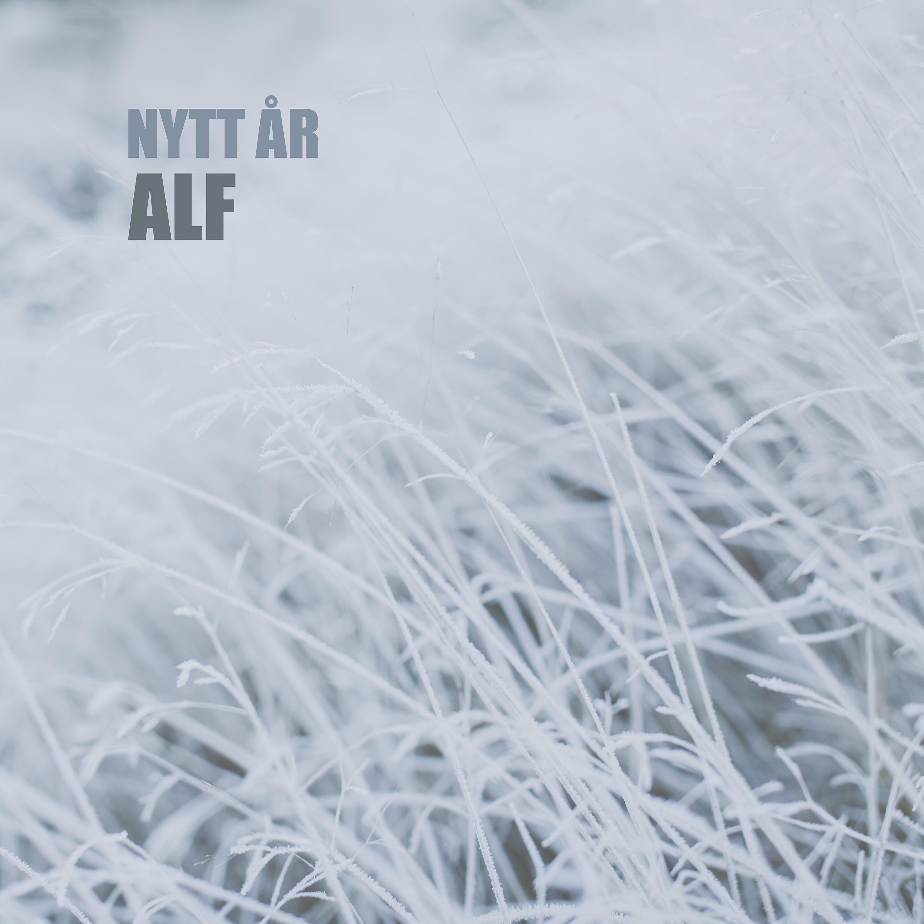 ALF - Nytt År