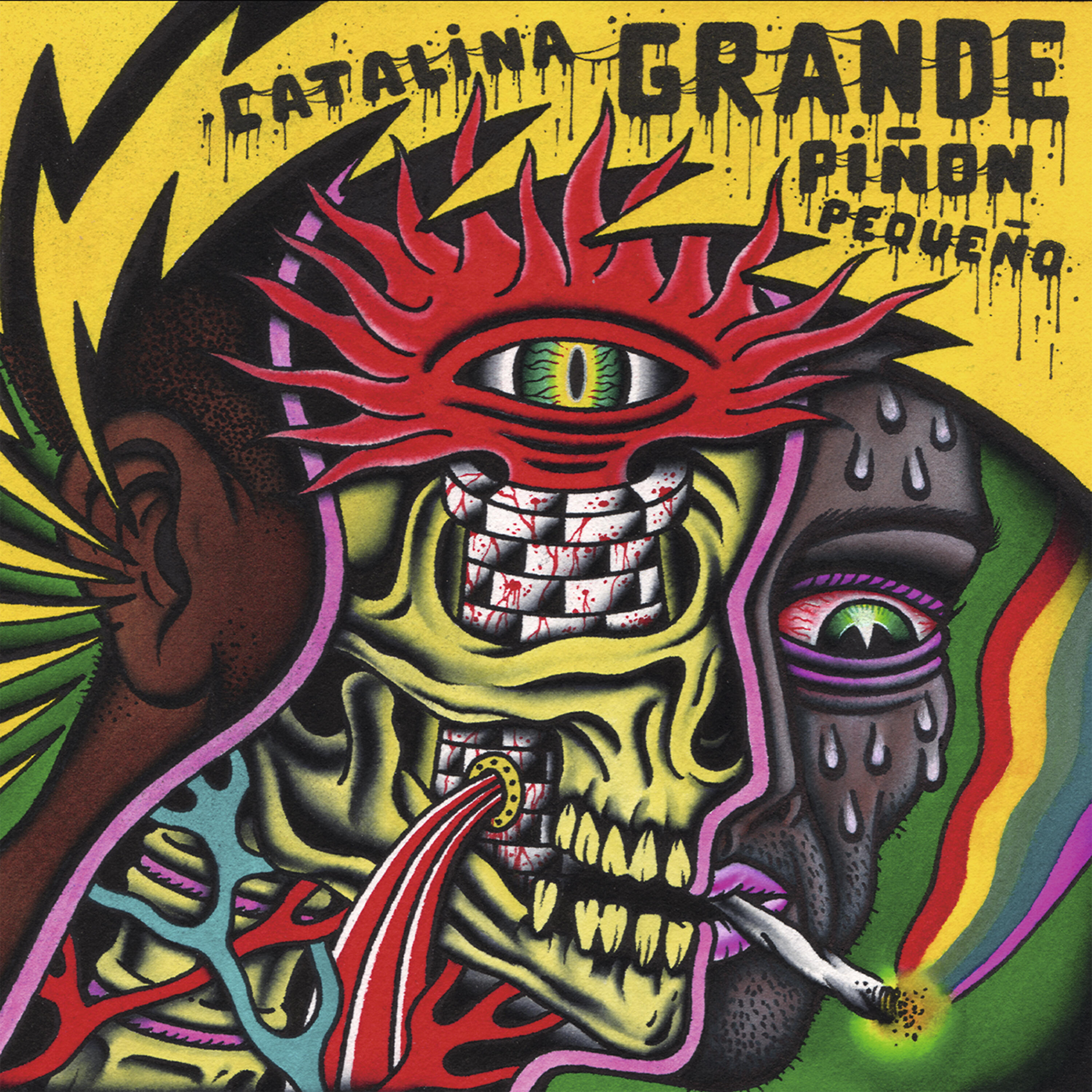 Catalina Grande Piñón Pequeño - Choco Jungly