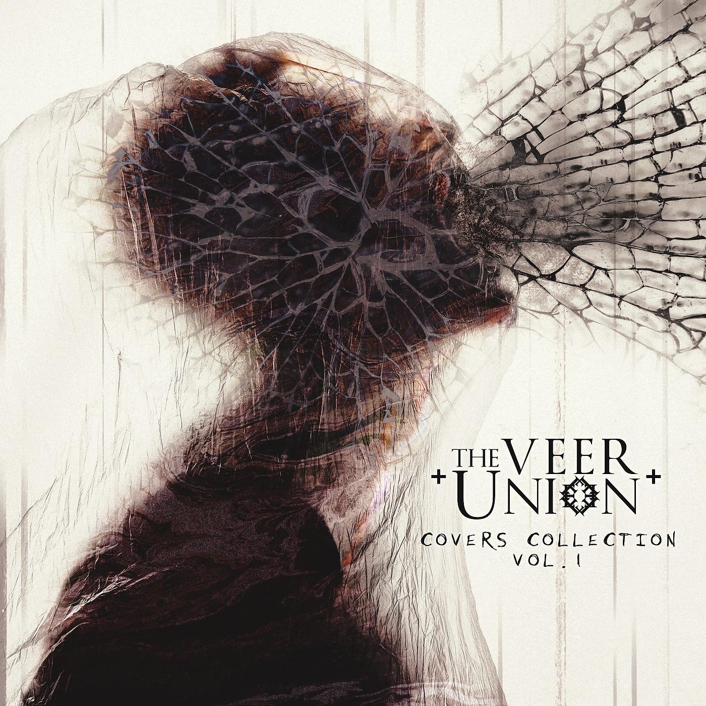 The veer union. Nightmare the Veer Union. Cover картинки. Кавер альбом. Music album Cover.