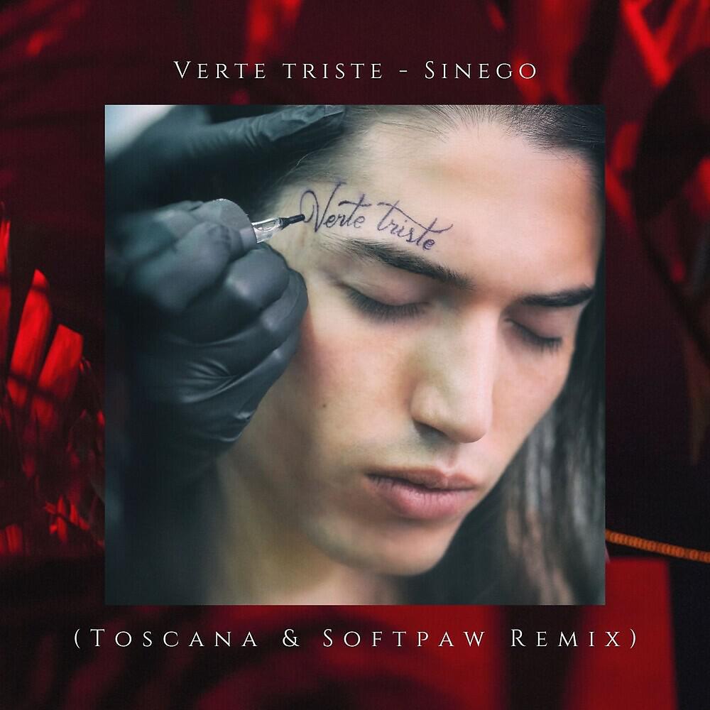 Sinego - Verte Triste (Toscana & Softpaw Remix)