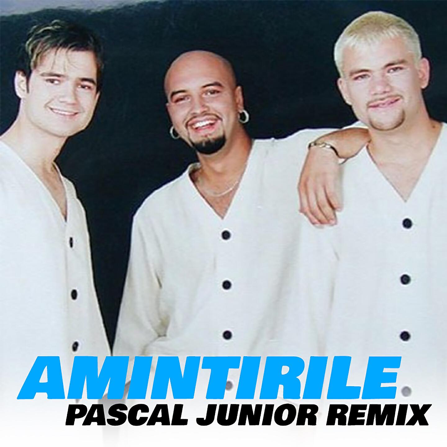 3 SUD EST - Amintirile (Pascal Junior Remix)
