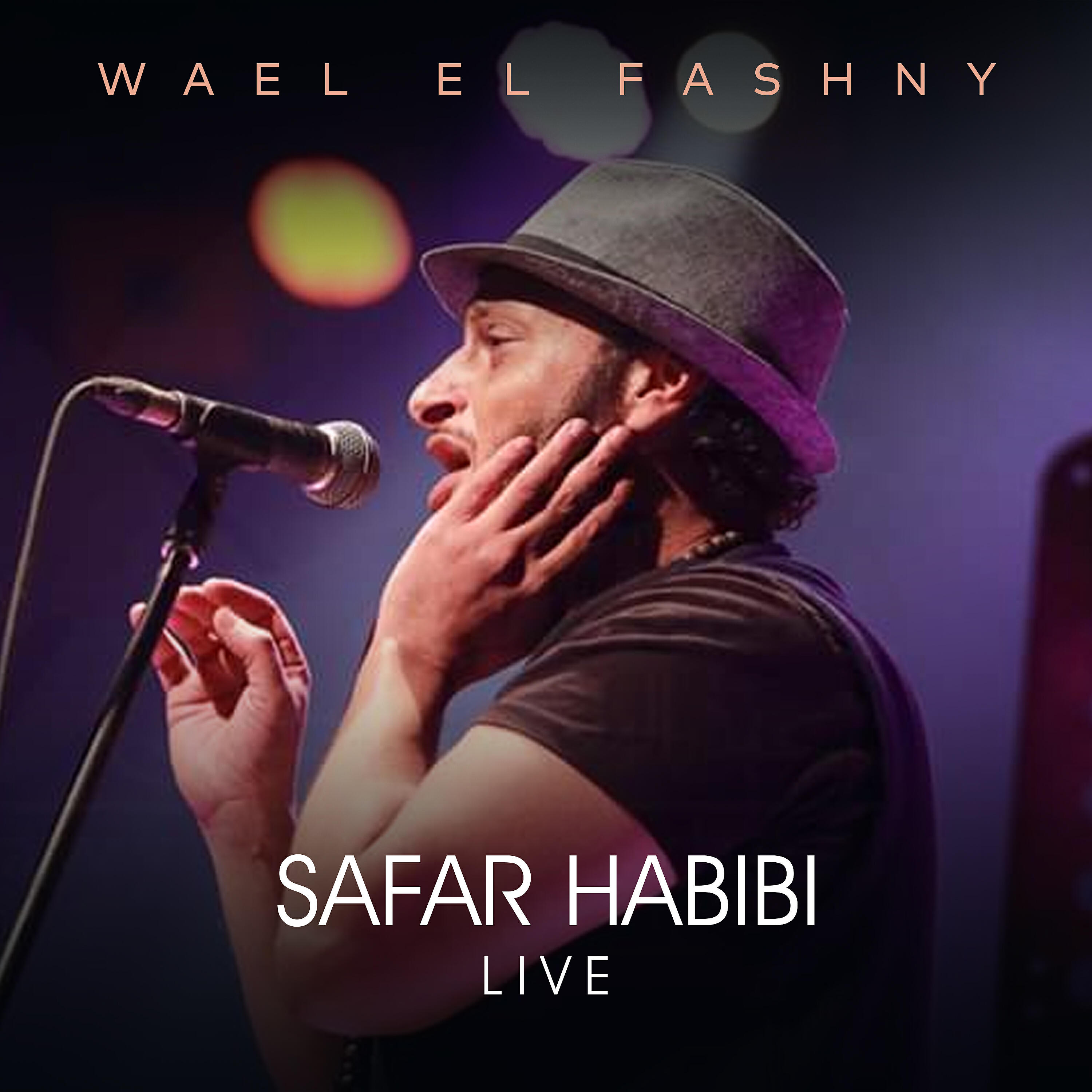 Wael El Fashny - Safar Habibi (Live)
