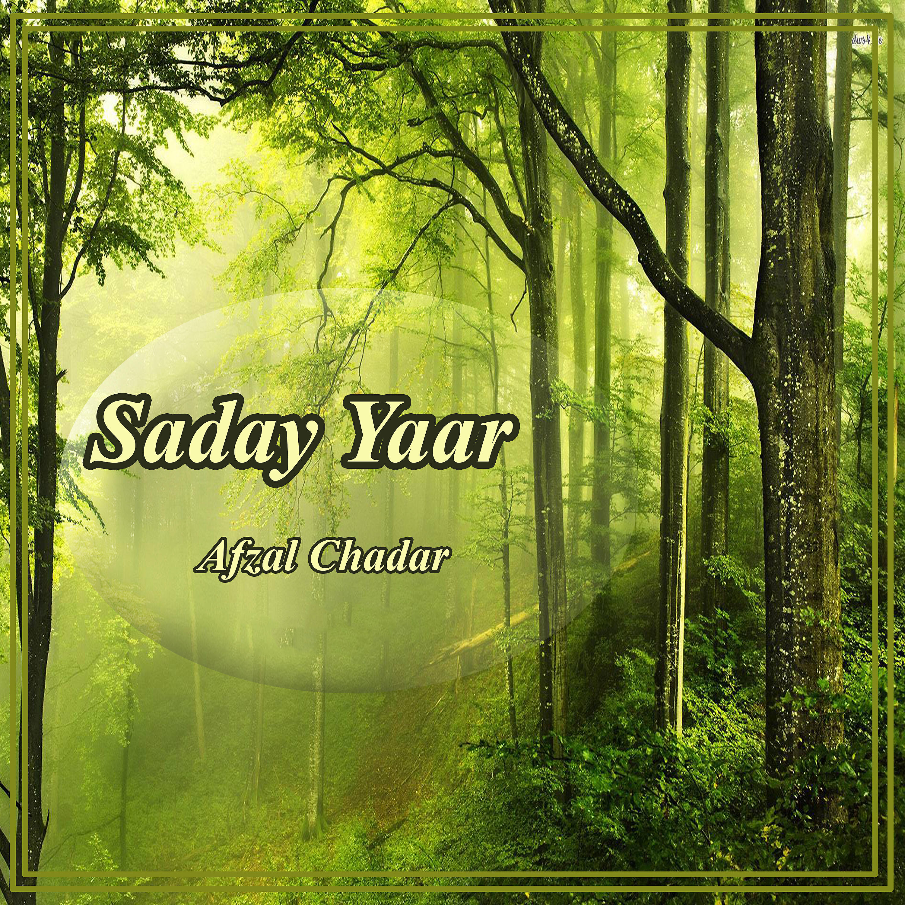 Afzal Chadar - Dadhi Monjh Andi Hai