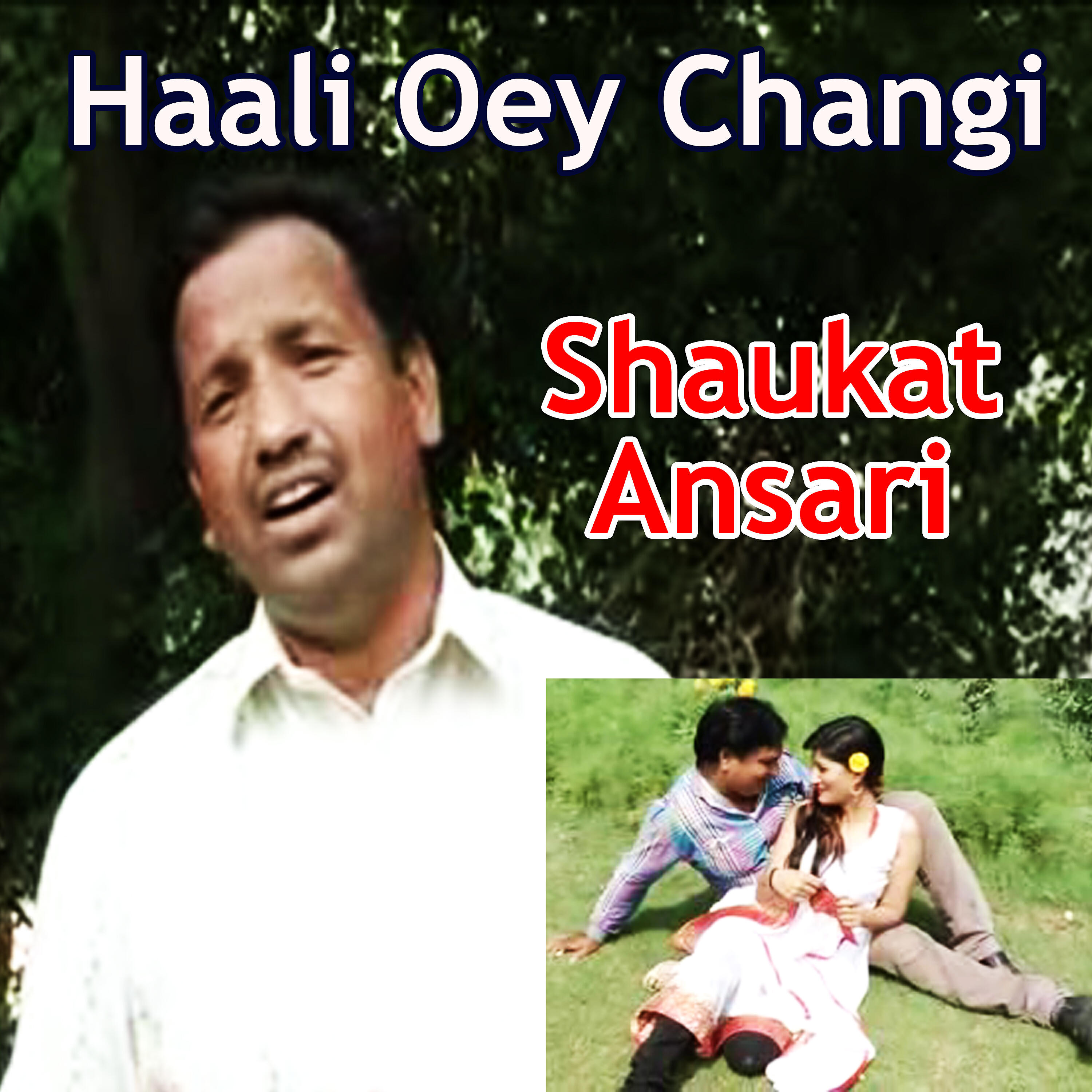 Shaukat Ansari - Assi Wajan Marde Re Gae Aan