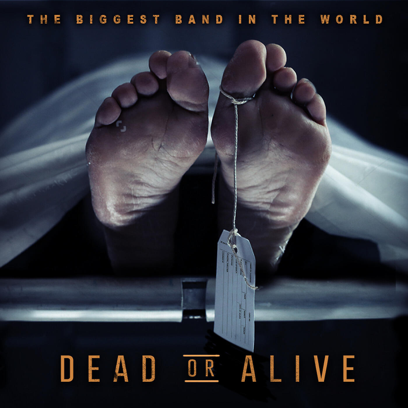 The Biggest Band In The World - D.O.A