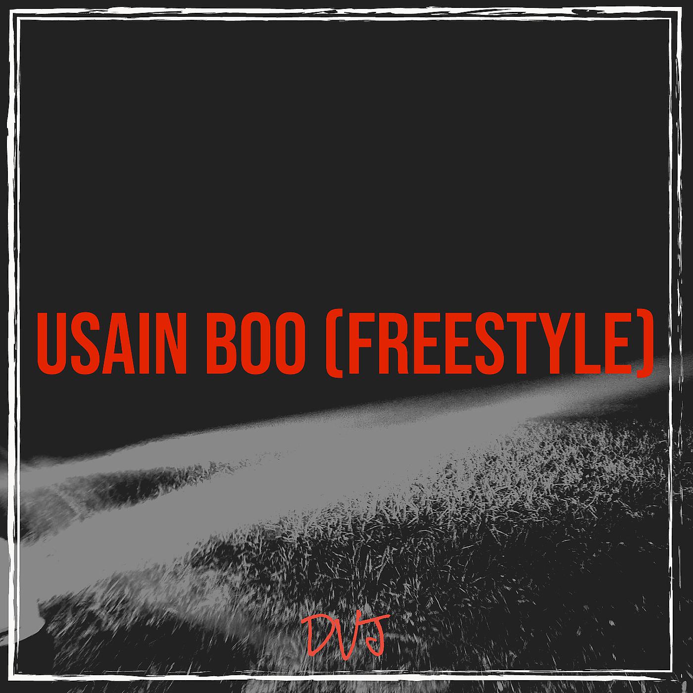 Постер альбома Usain Boo (FreeStyle)