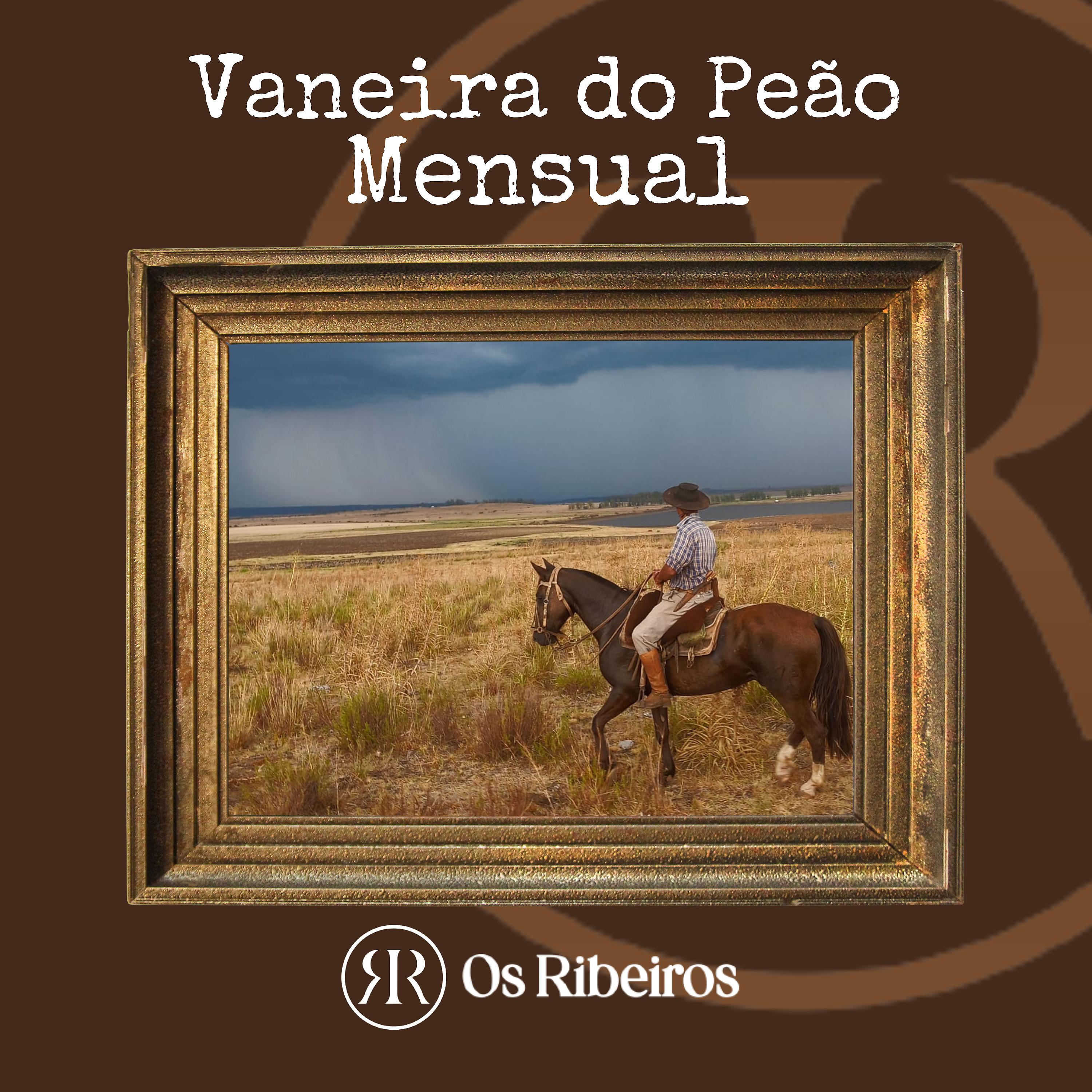 Постер альбома Vaneira do Peão Mensual