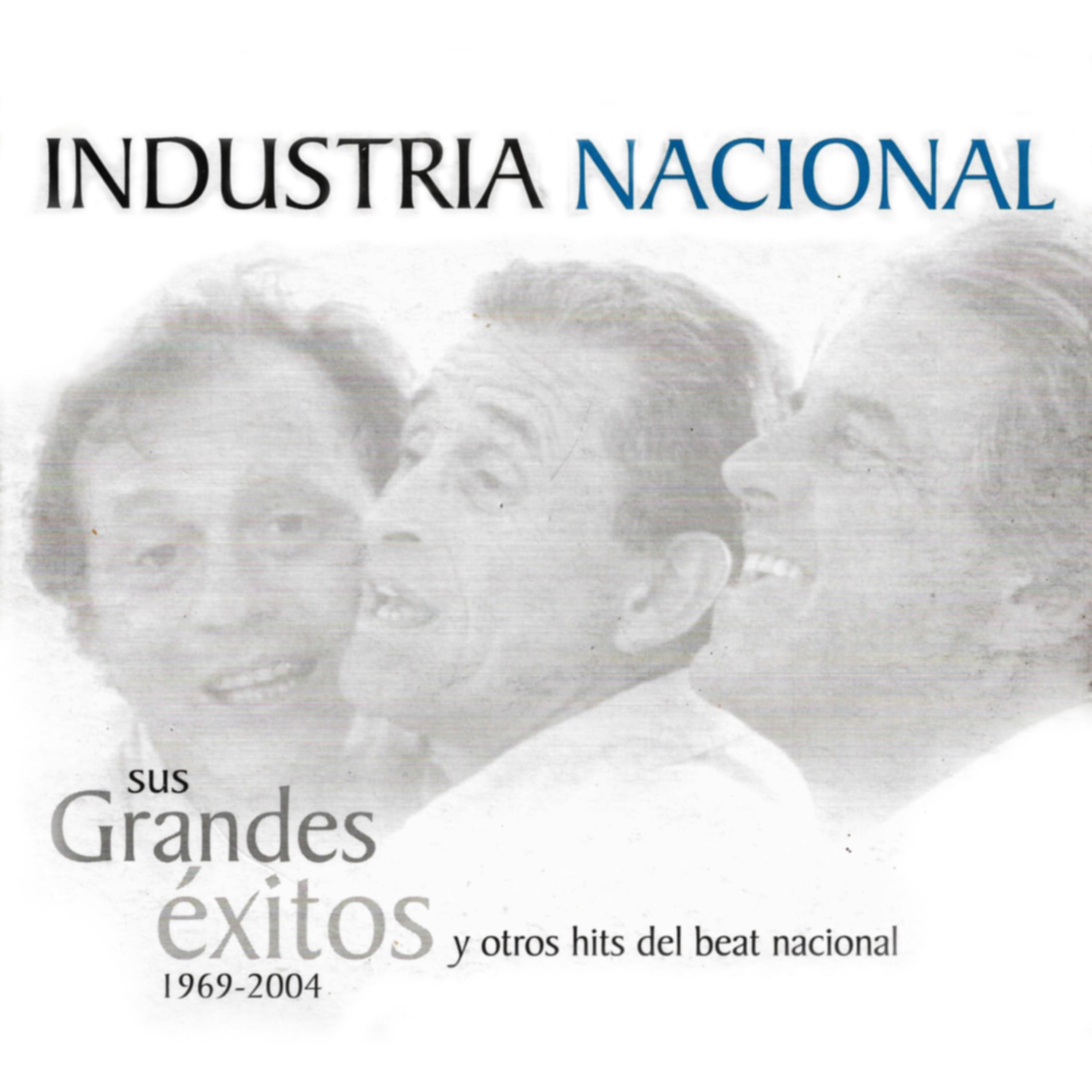 Постер альбома Sus Grandes Éxitos y Otros Hits del Beat Nacional 1969 - 2004