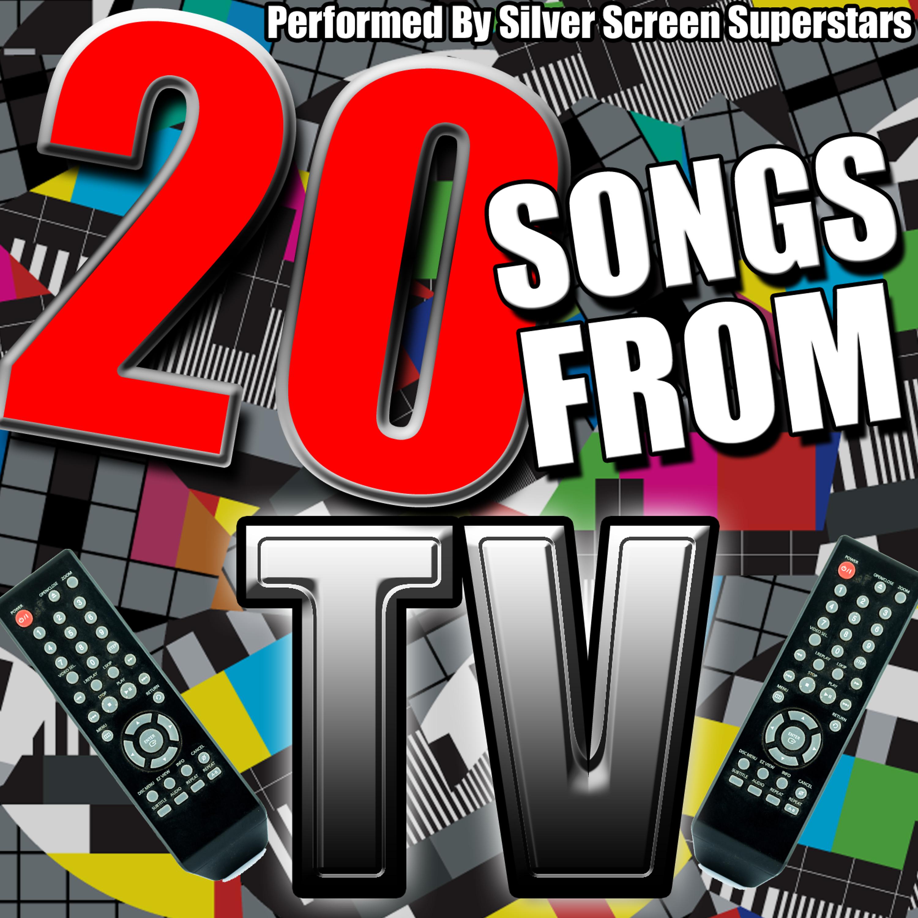 Постер альбома 20 Songs from Tv