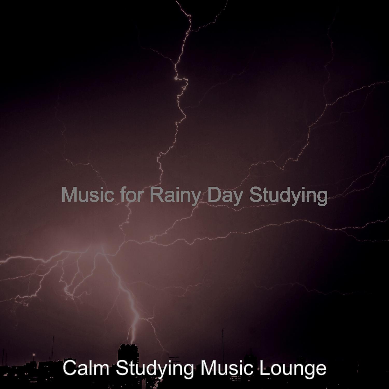 Постер альбома Music for Rainy Day Studying