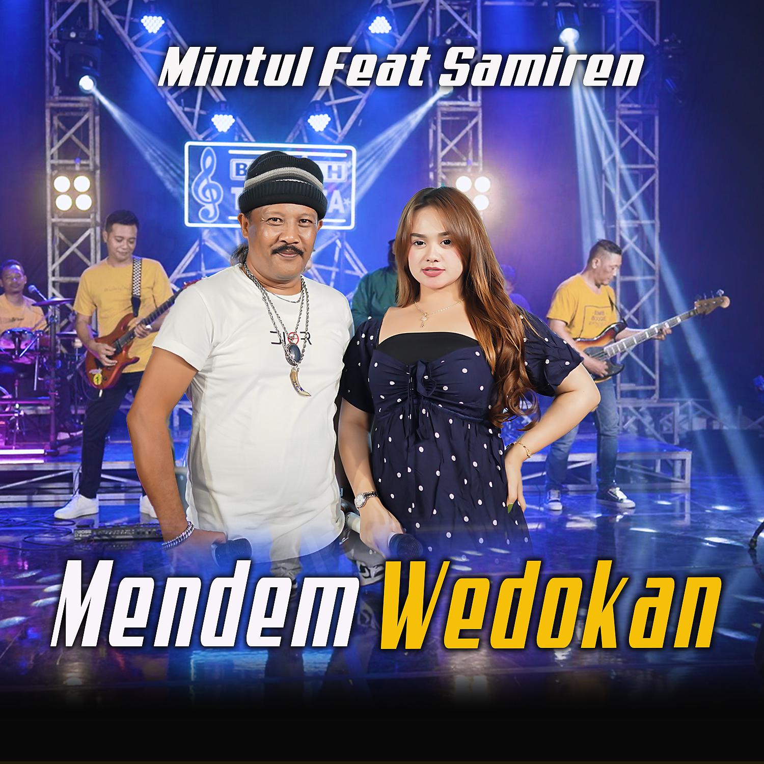 Постер альбома Mendem Wedokan