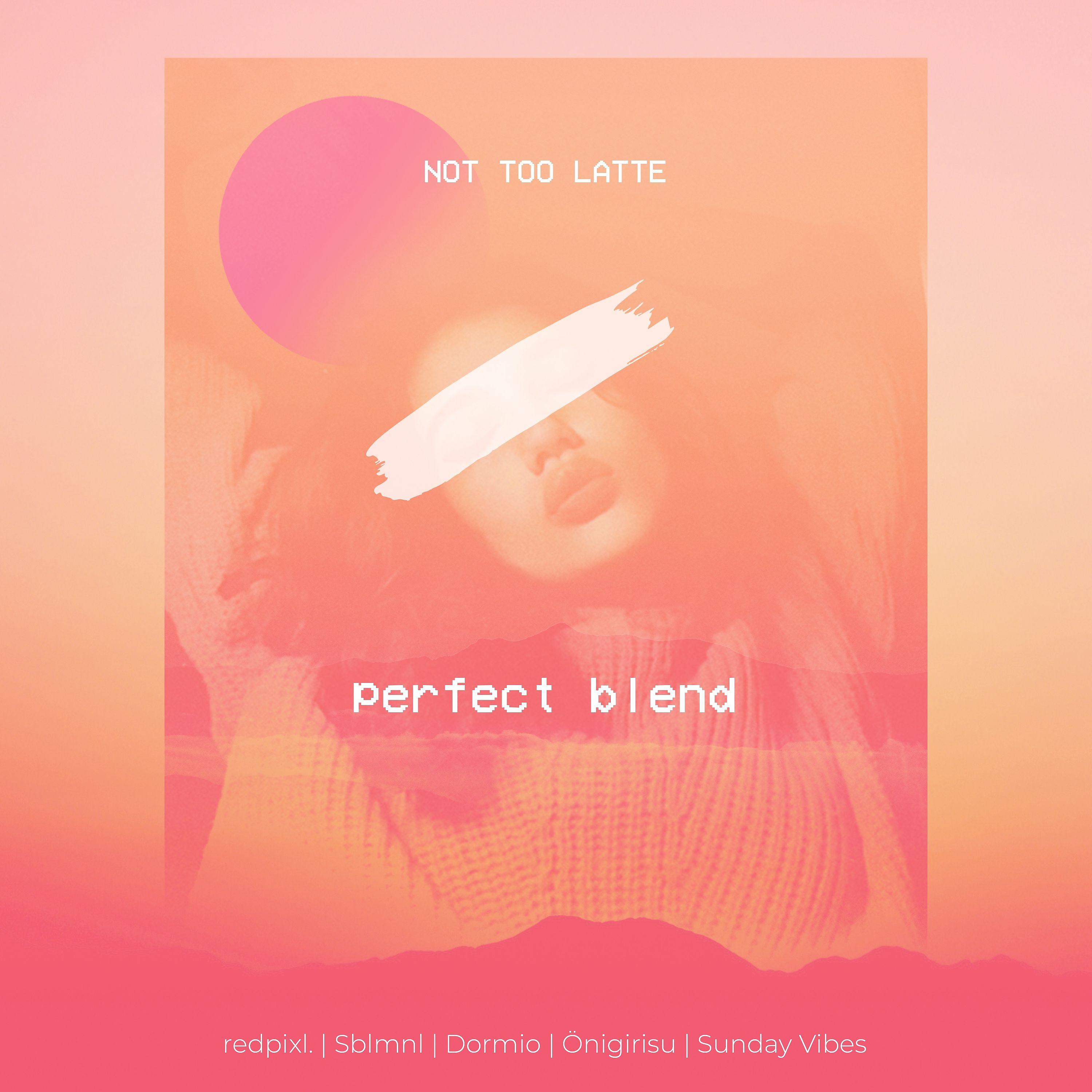 Постер альбома Not Too Latte - Perfect Blend