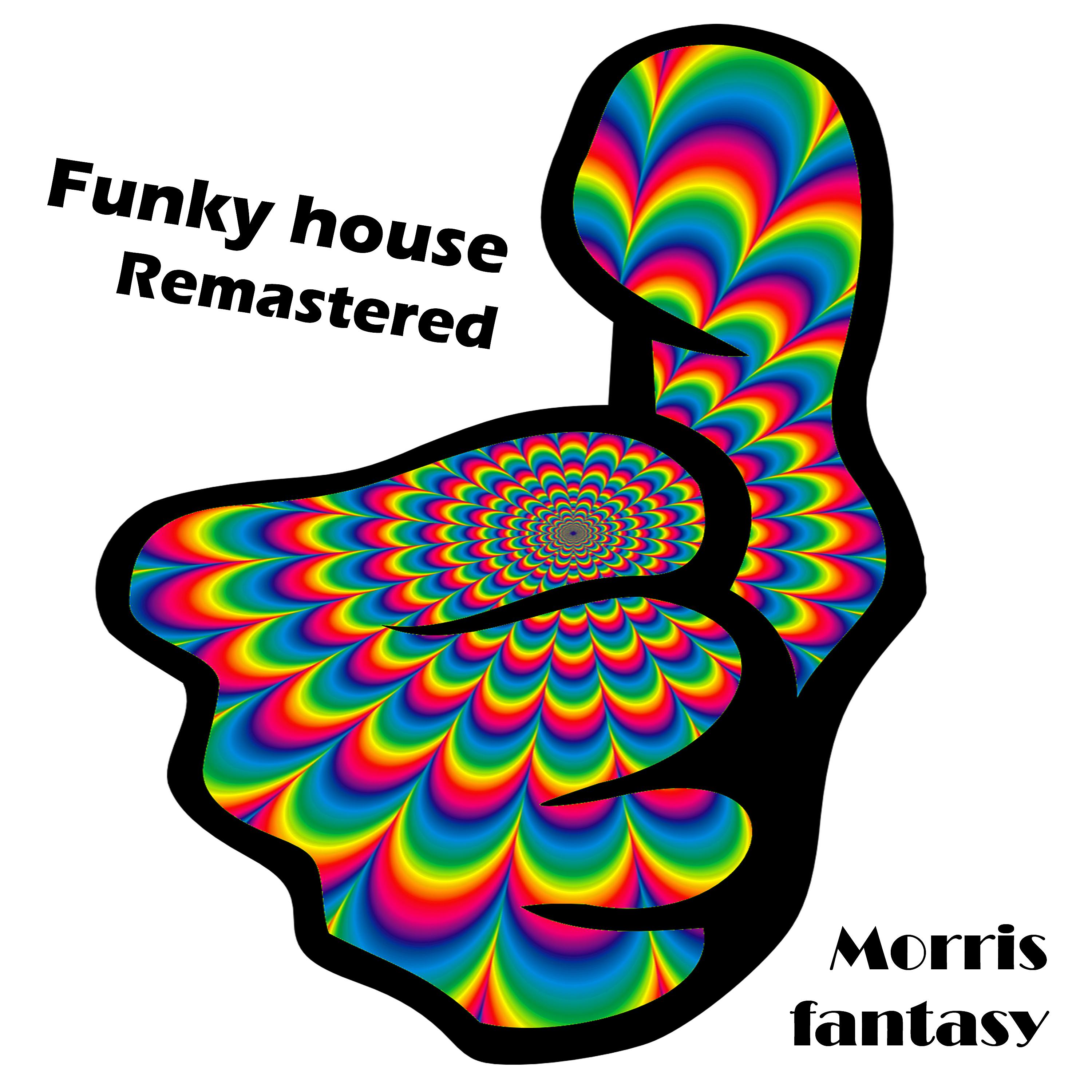 Постер альбома Funky House (Remastered)
