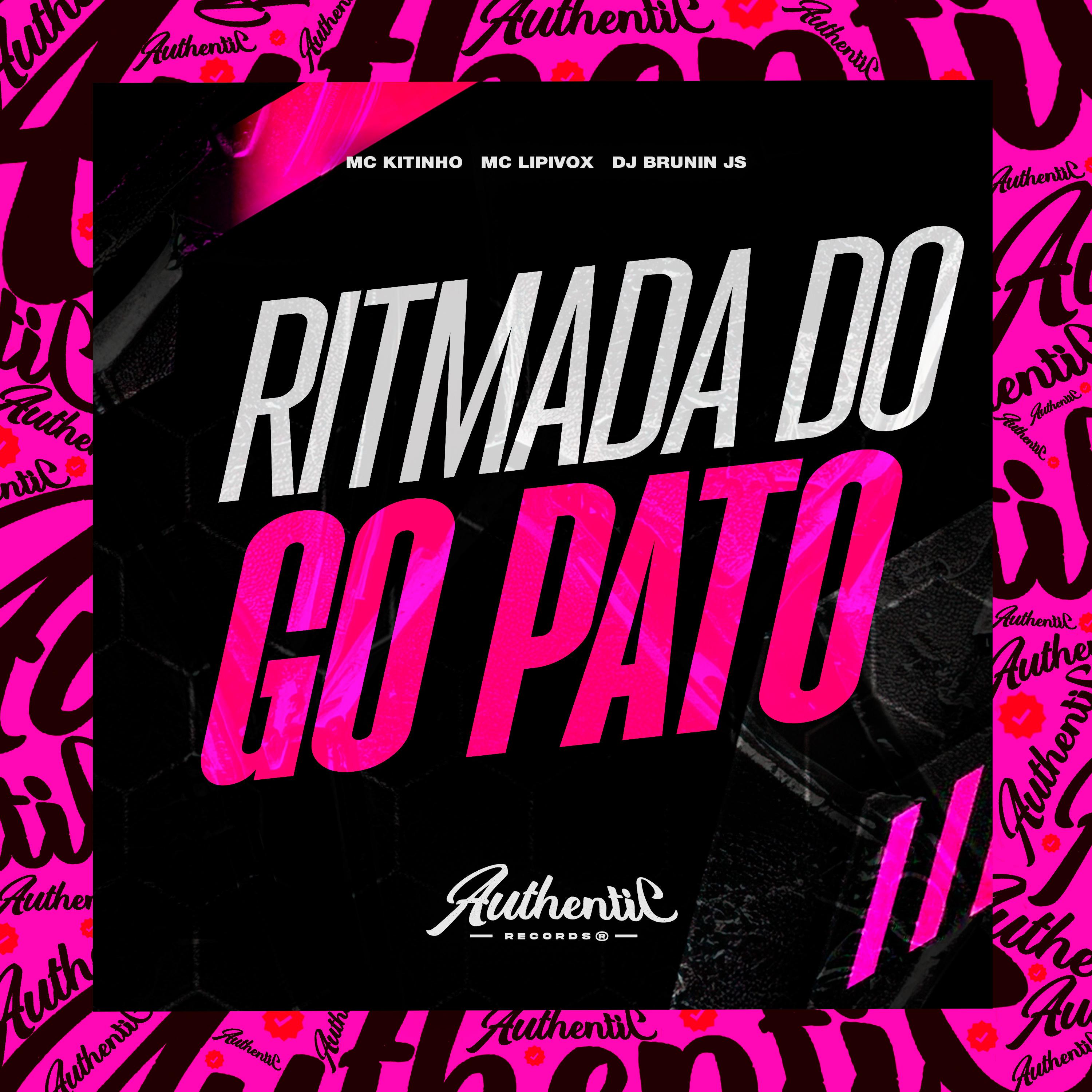 Постер альбома Ritmada do Go Pato