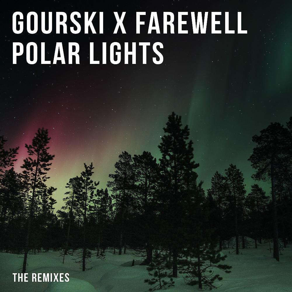 Постер альбома Polar Lights (The Remixes)