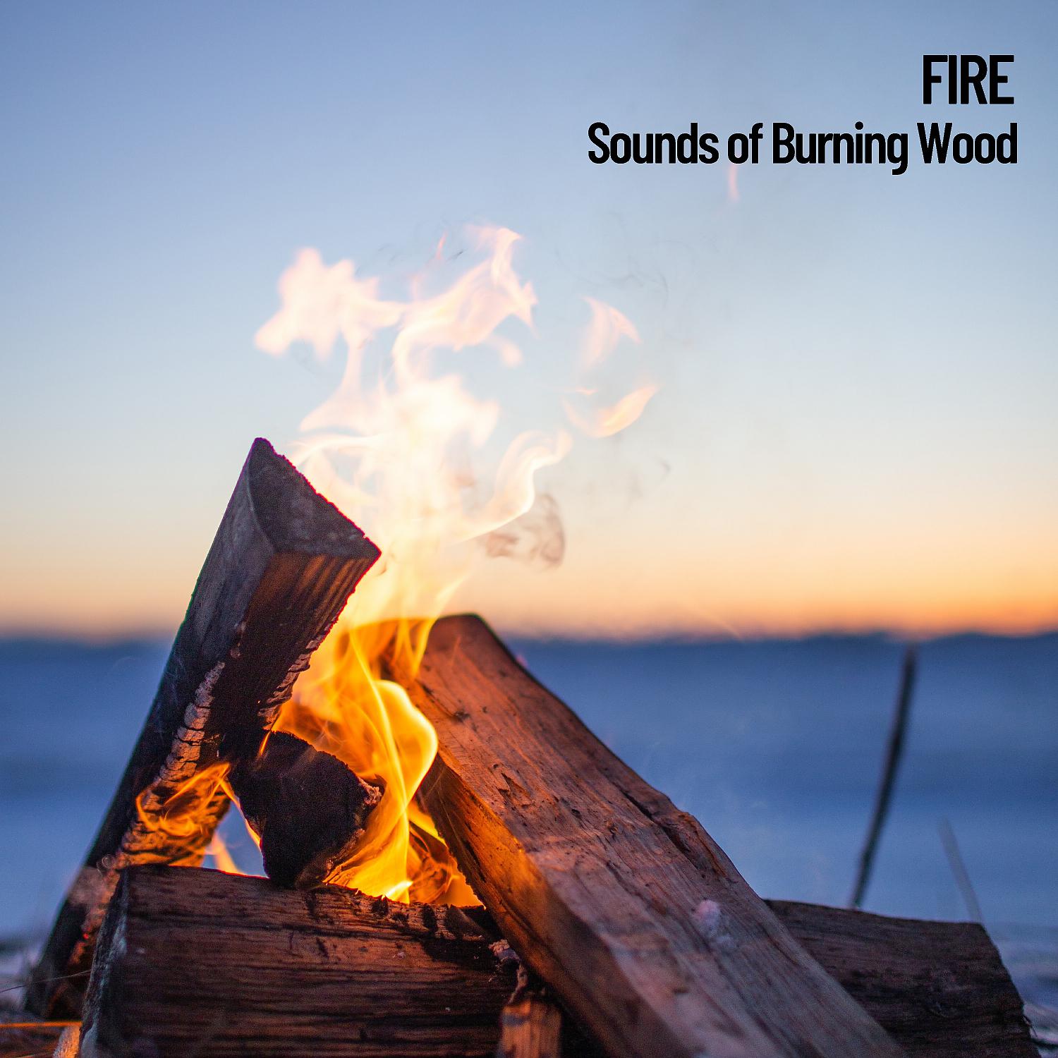 Постер альбома Fireplace Sounds: Sounds of Firewood