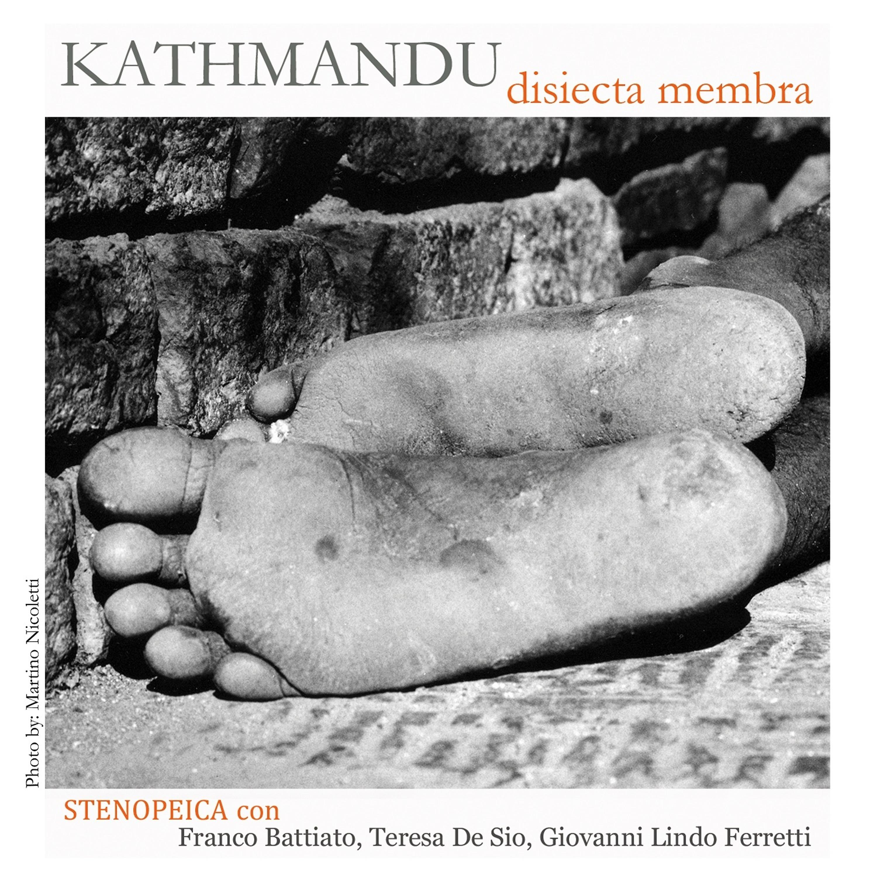 Постер альбома Kathmandu - Disiecta membra