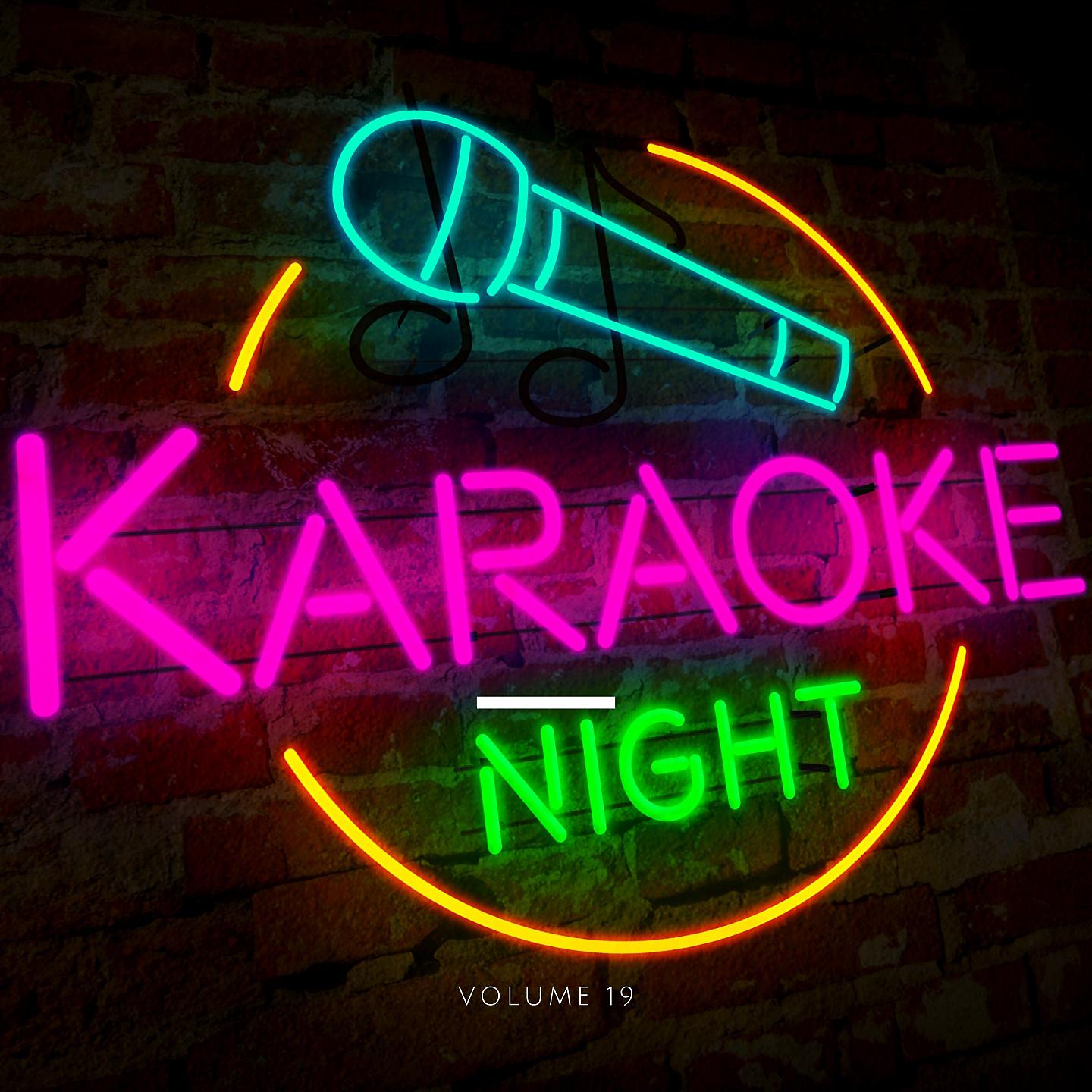 Постер альбома Karaoke Night, Vol. 19