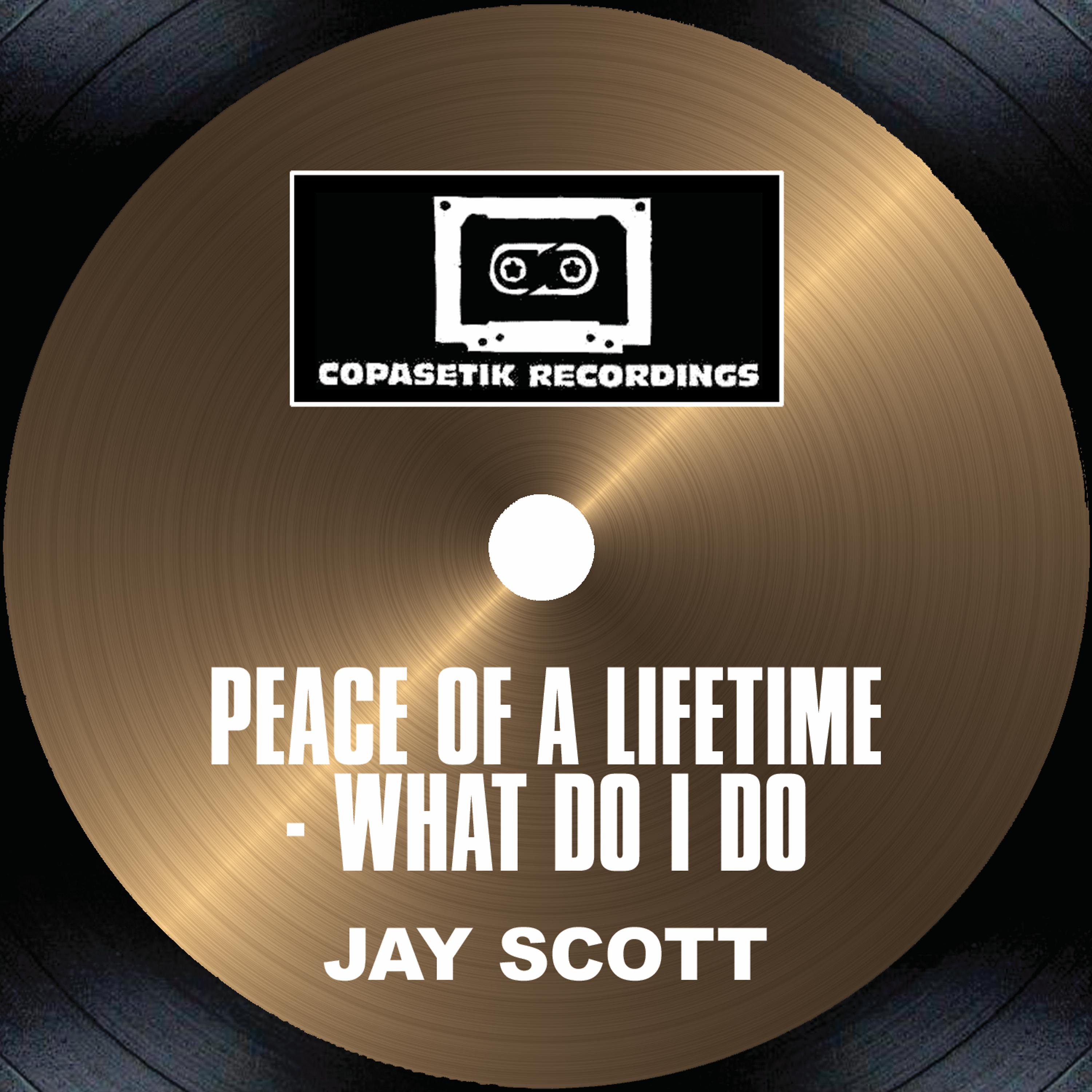 Постер альбома Peace Of A Lifetime - What Do I Do