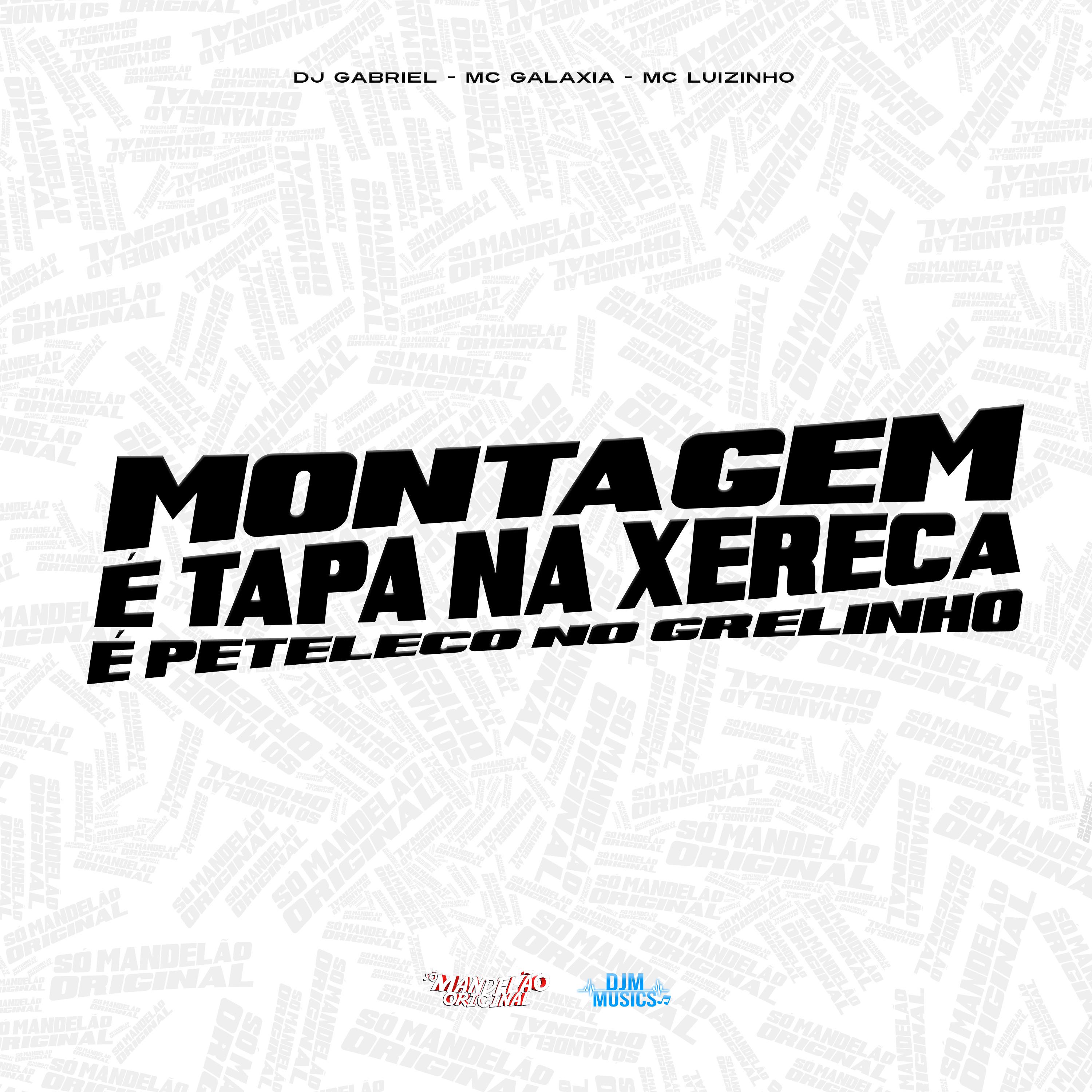 Постер альбома Montagem e Tapa na Xereca e Peteleco no Grelinho