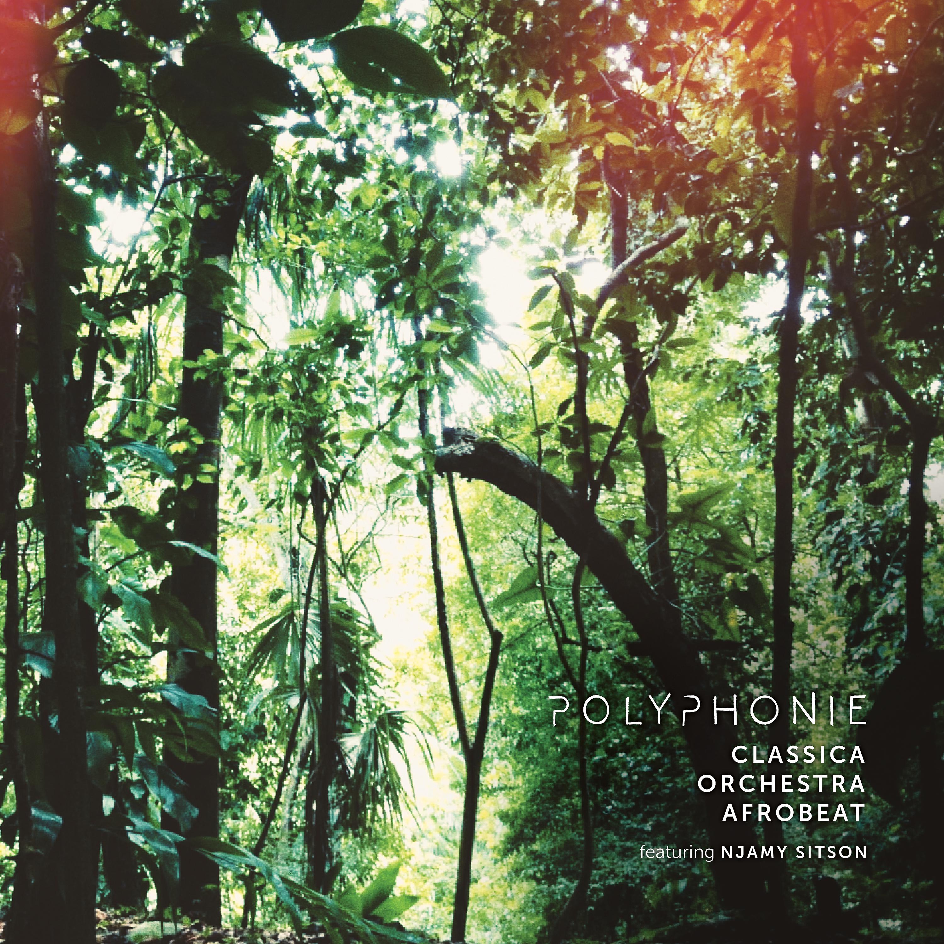 Постер альбома Polyphonie
