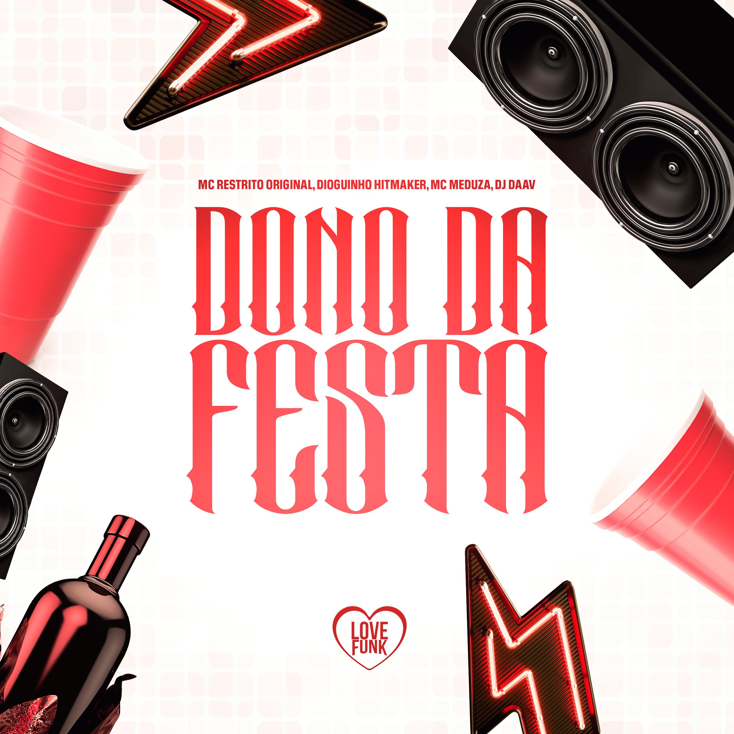 Постер альбома Dono da Festa