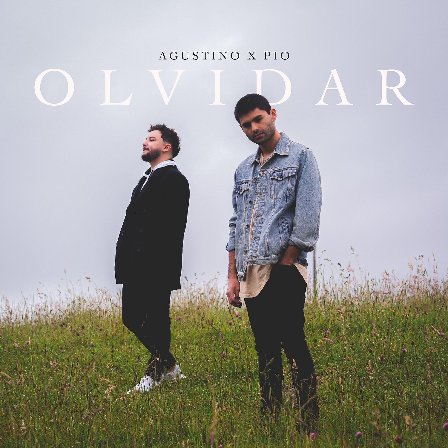 Постер альбома Olvidar