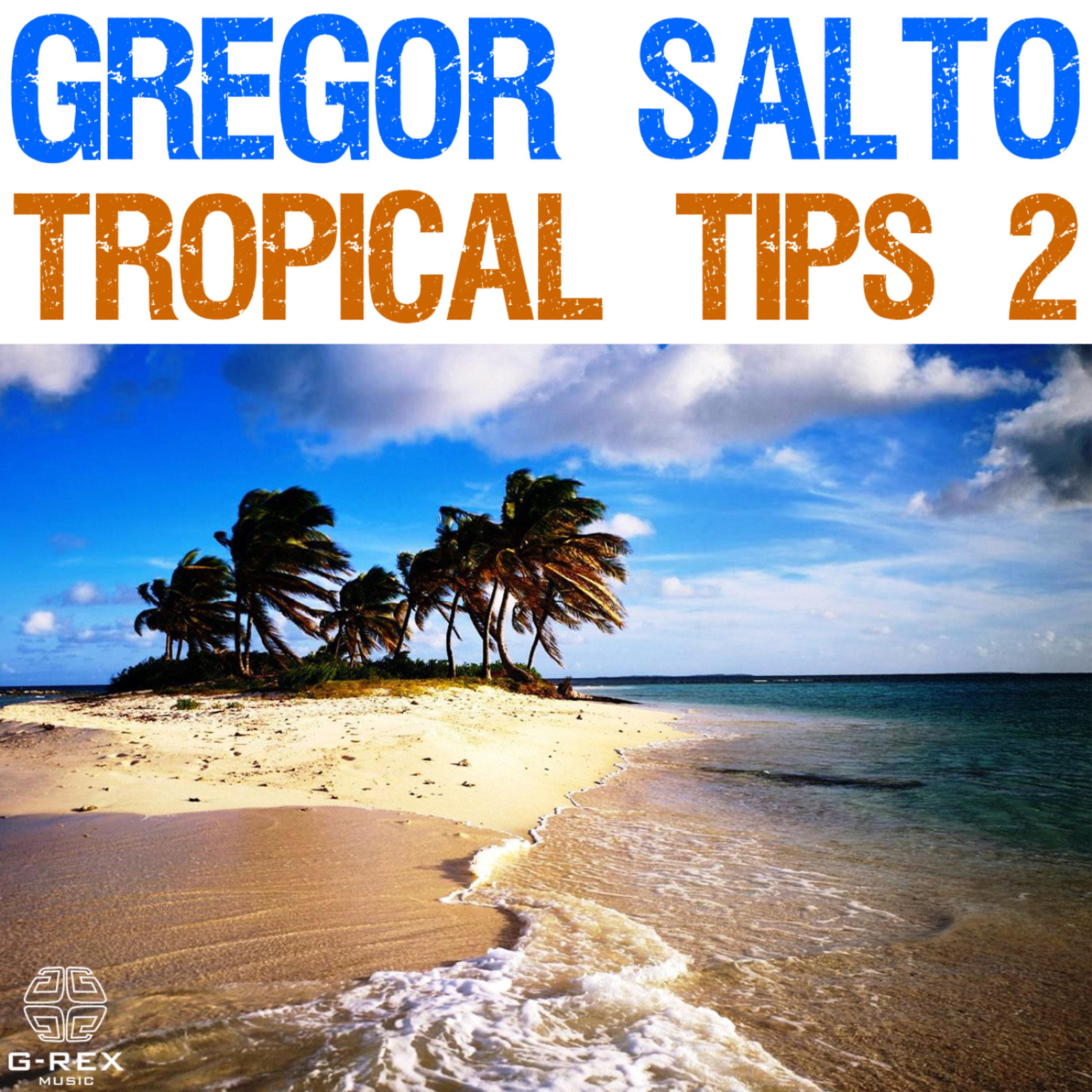 Постер альбома Gregor Salto - Tropical Tips 2