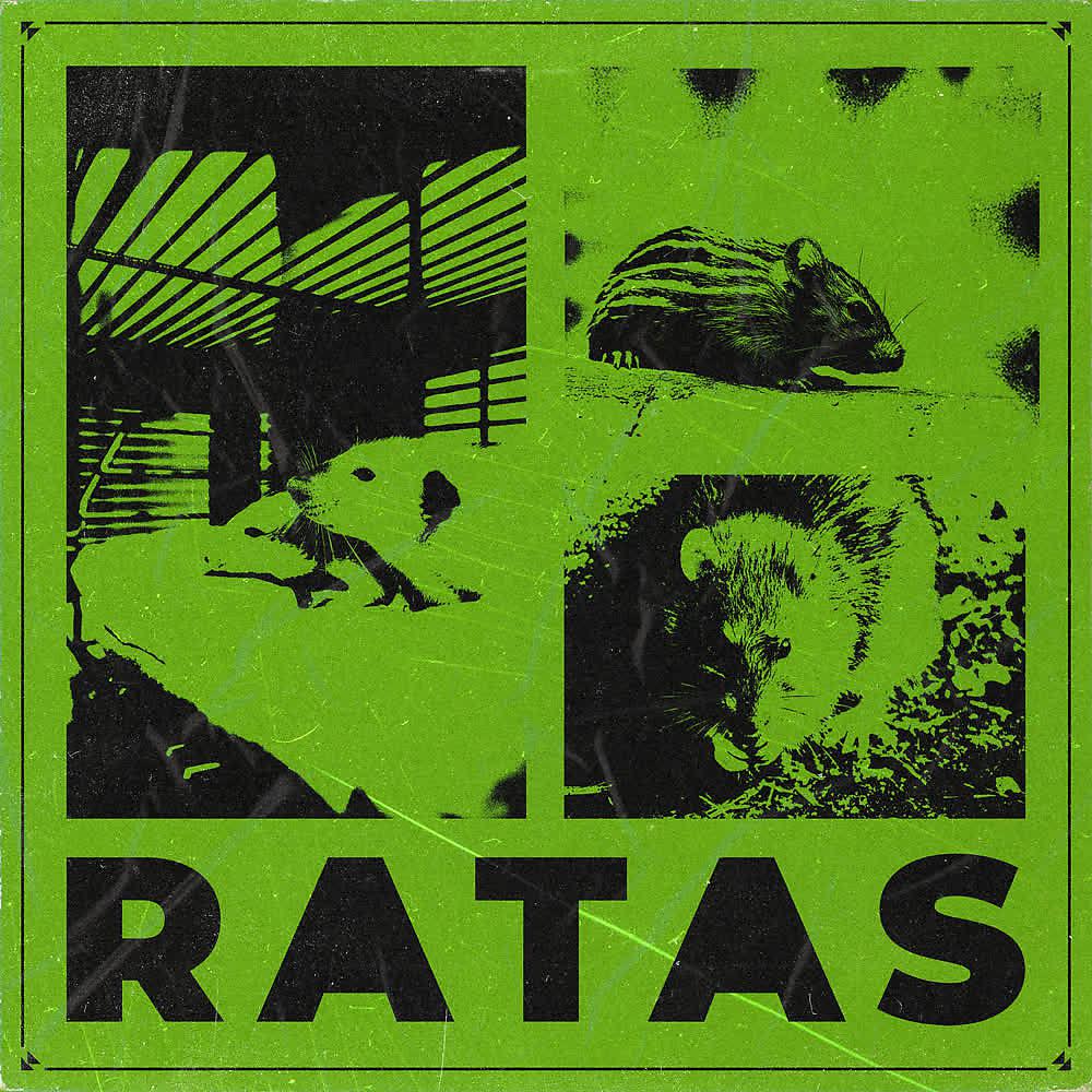 Постер альбома Ratas