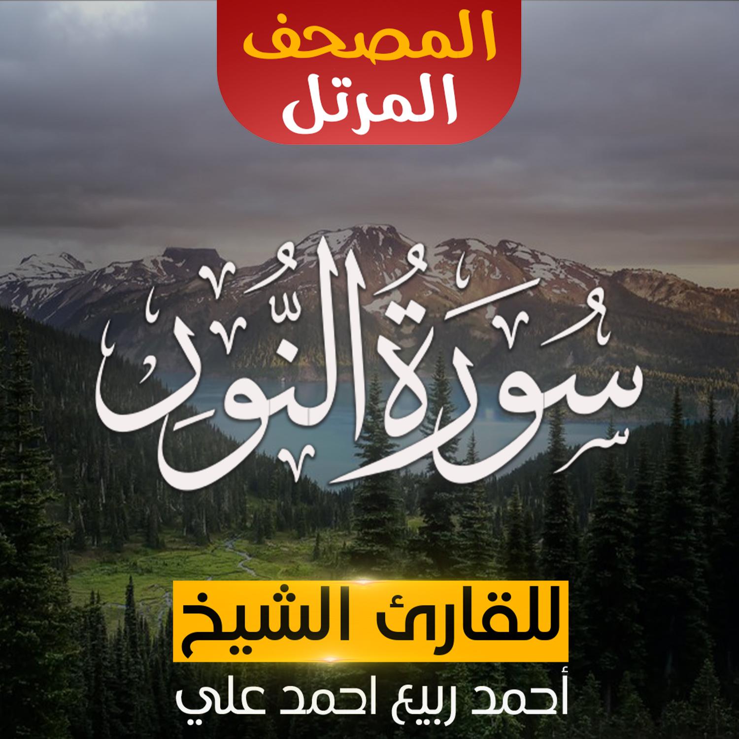 Постер альбома سورة النور