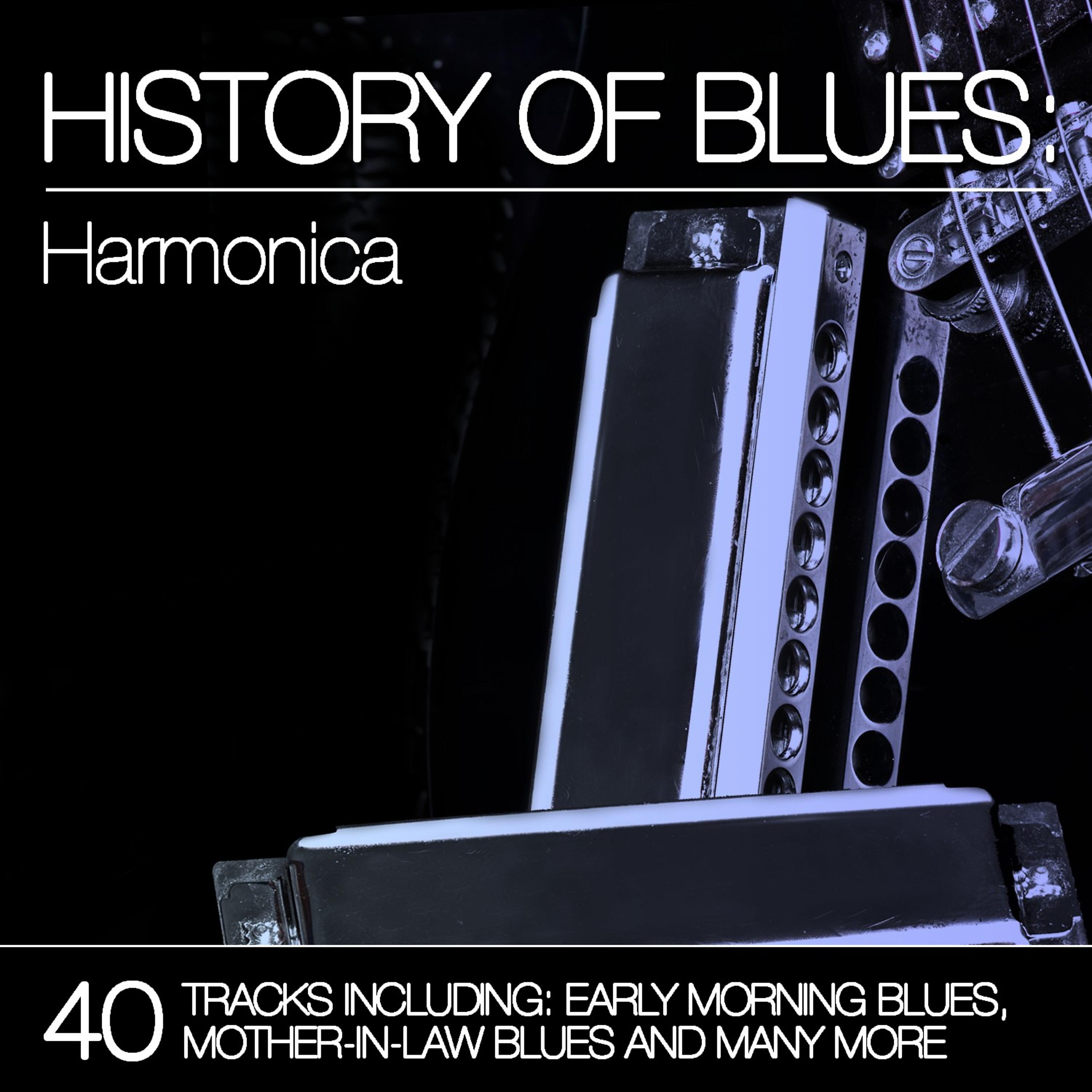 Постер альбома History of Blues: Harmonica
