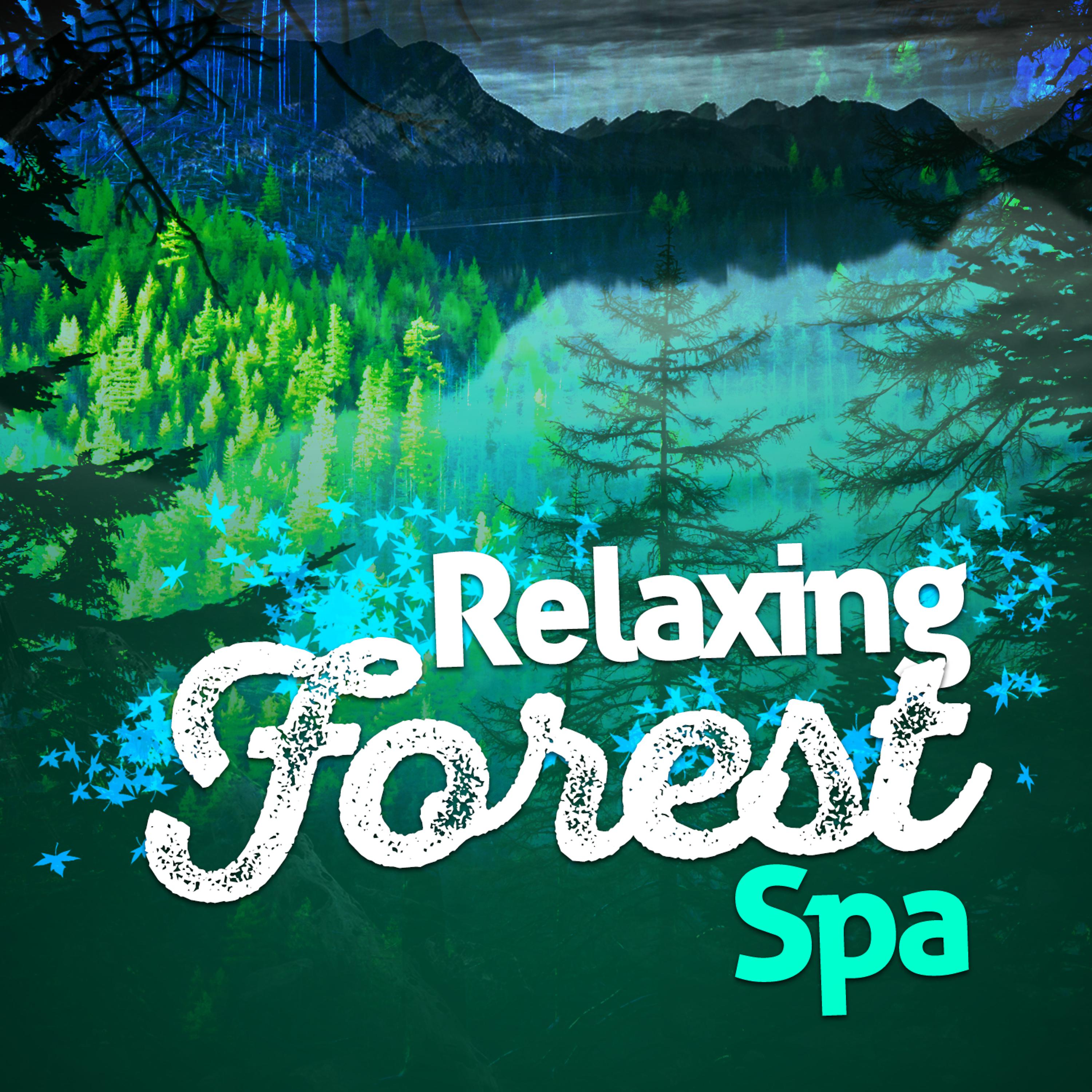 Постер альбома Relaxing Forest Spa
