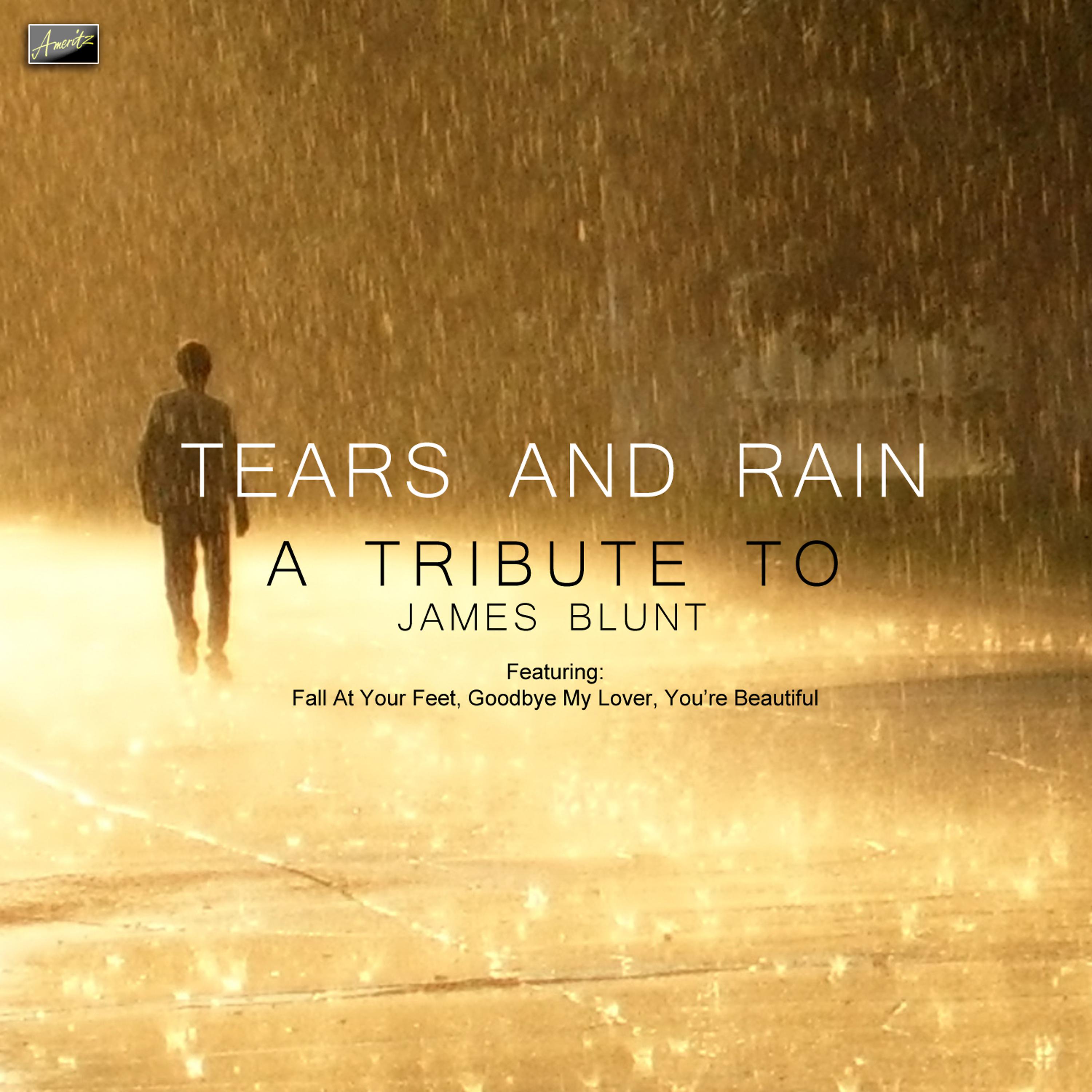 Постер альбома Tears and Rain - A Tribute to James Blunt