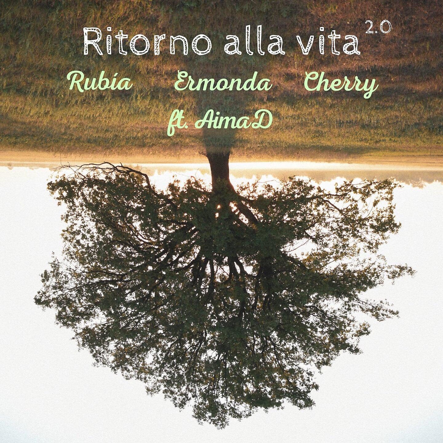 Постер альбома Ritorno alla vita 2.0