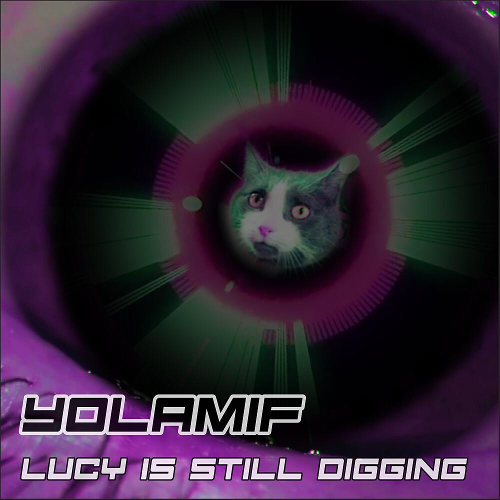 Постер альбома Lucy is Still Digging