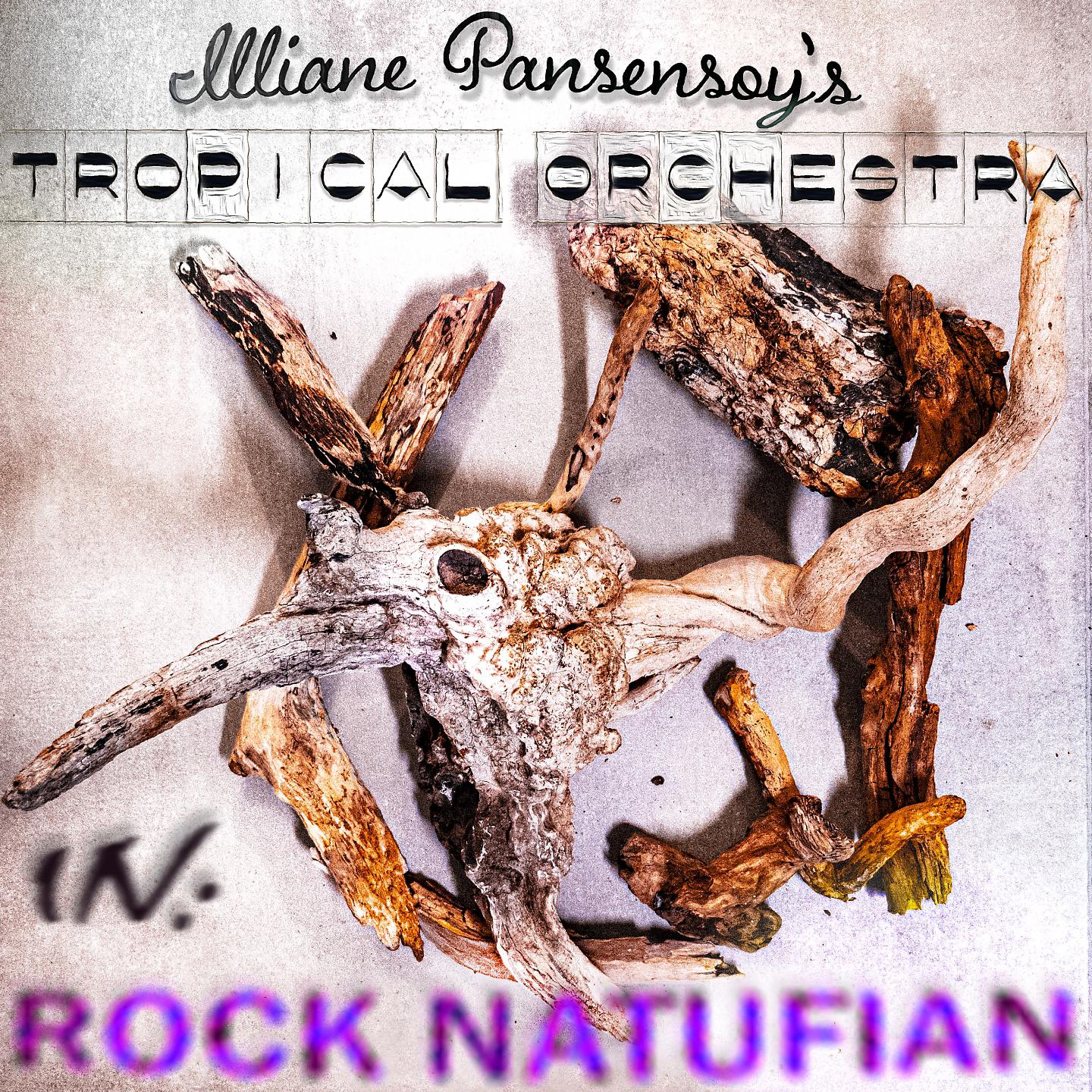 Постер альбома In: Rock Natufian