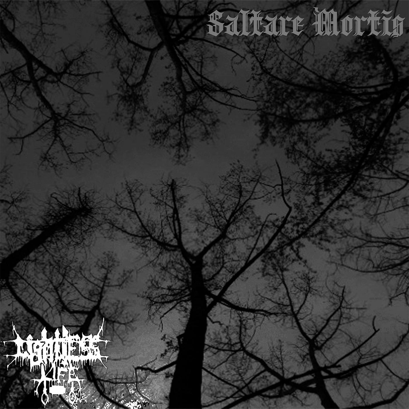 Постер альбома Saltare Mortis